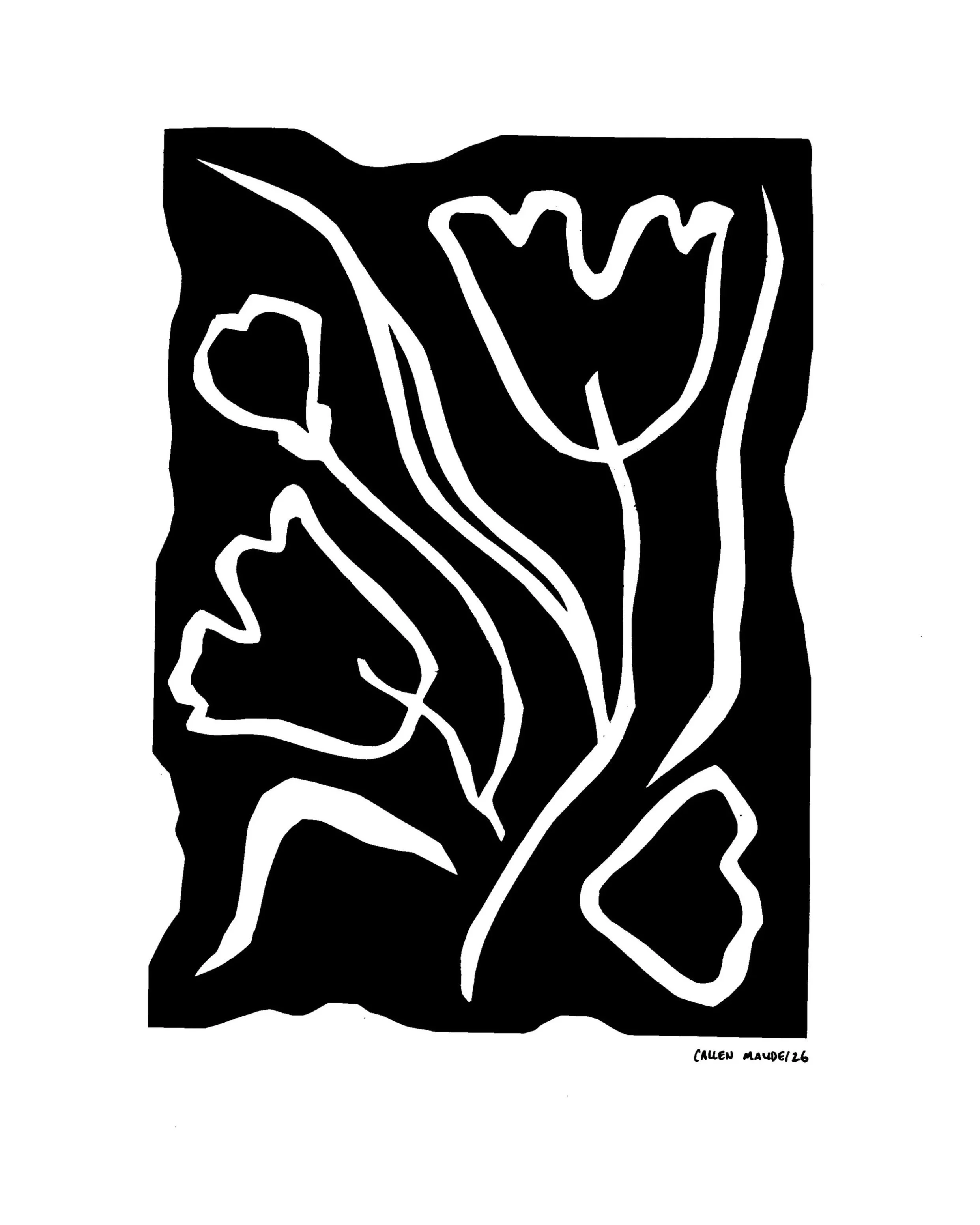Abstract+Lily+Negative.jpg
