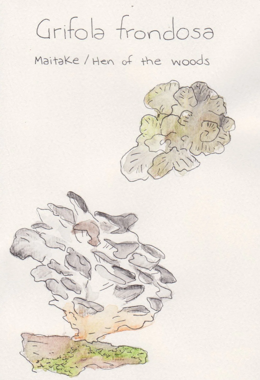Scan_20200427 (35).jpg