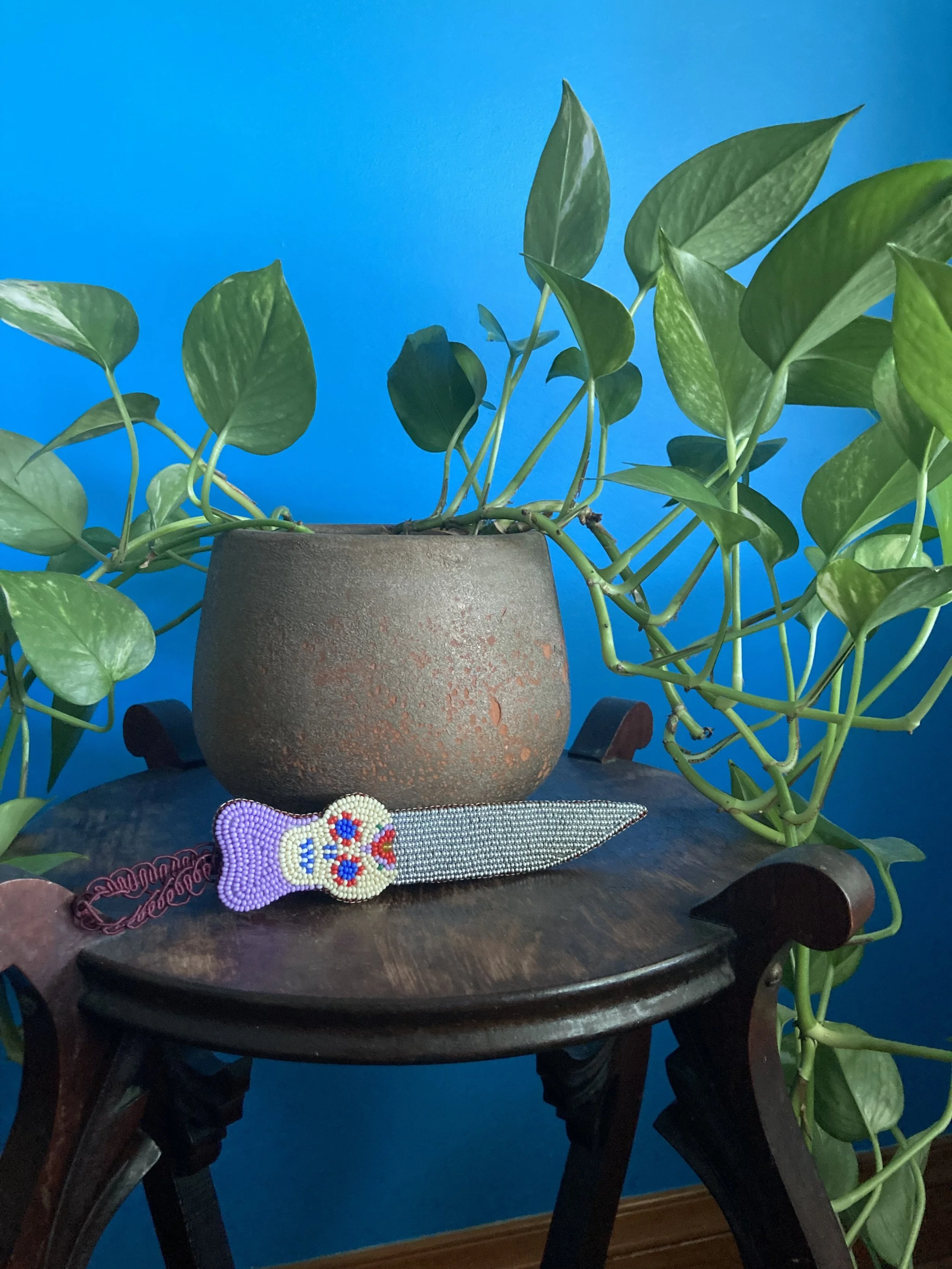 Yaga'sKnifePlant1.jpeg