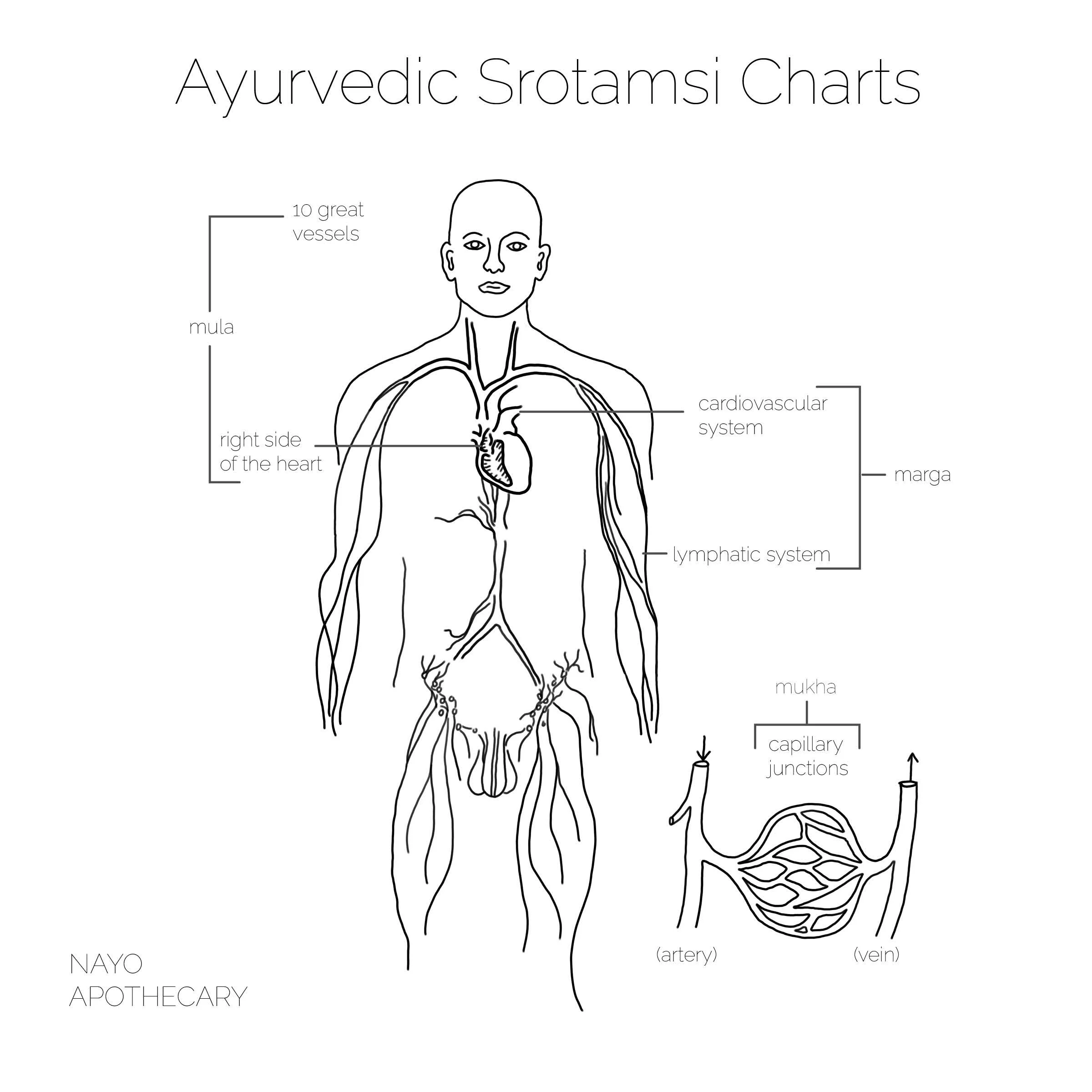 SrotamsiCover2.jpg