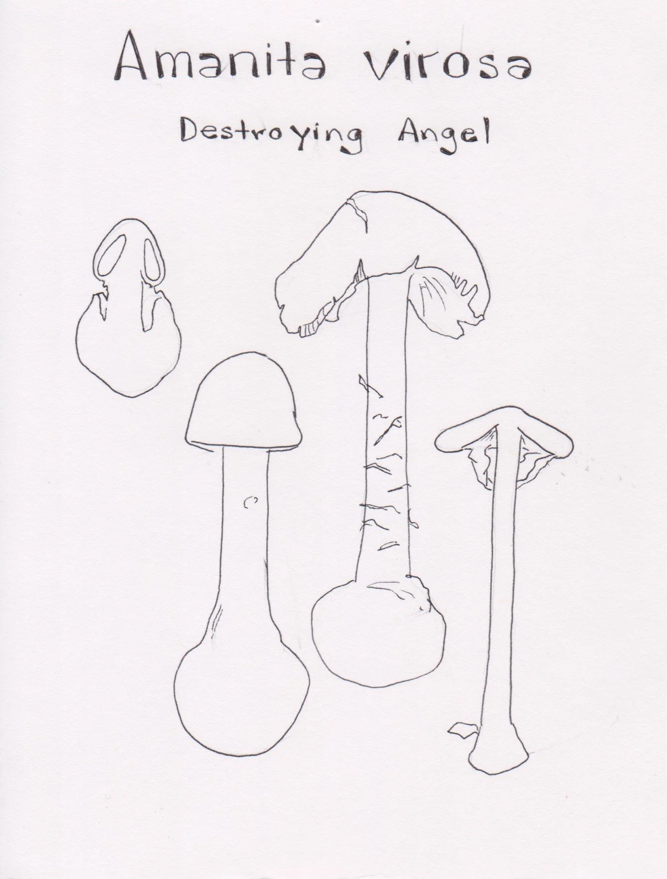 Scan_20200427 (59).jpg