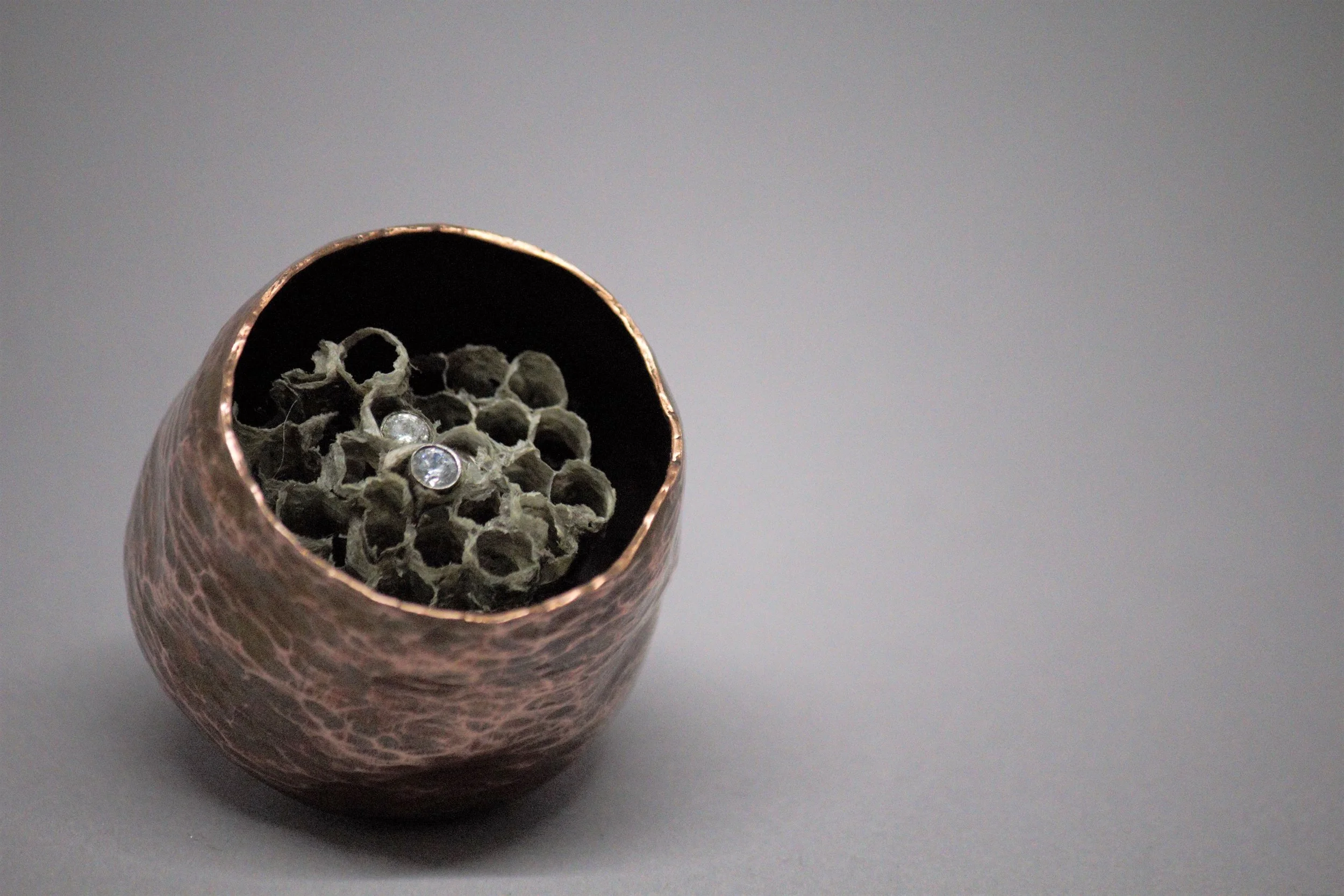 Nest