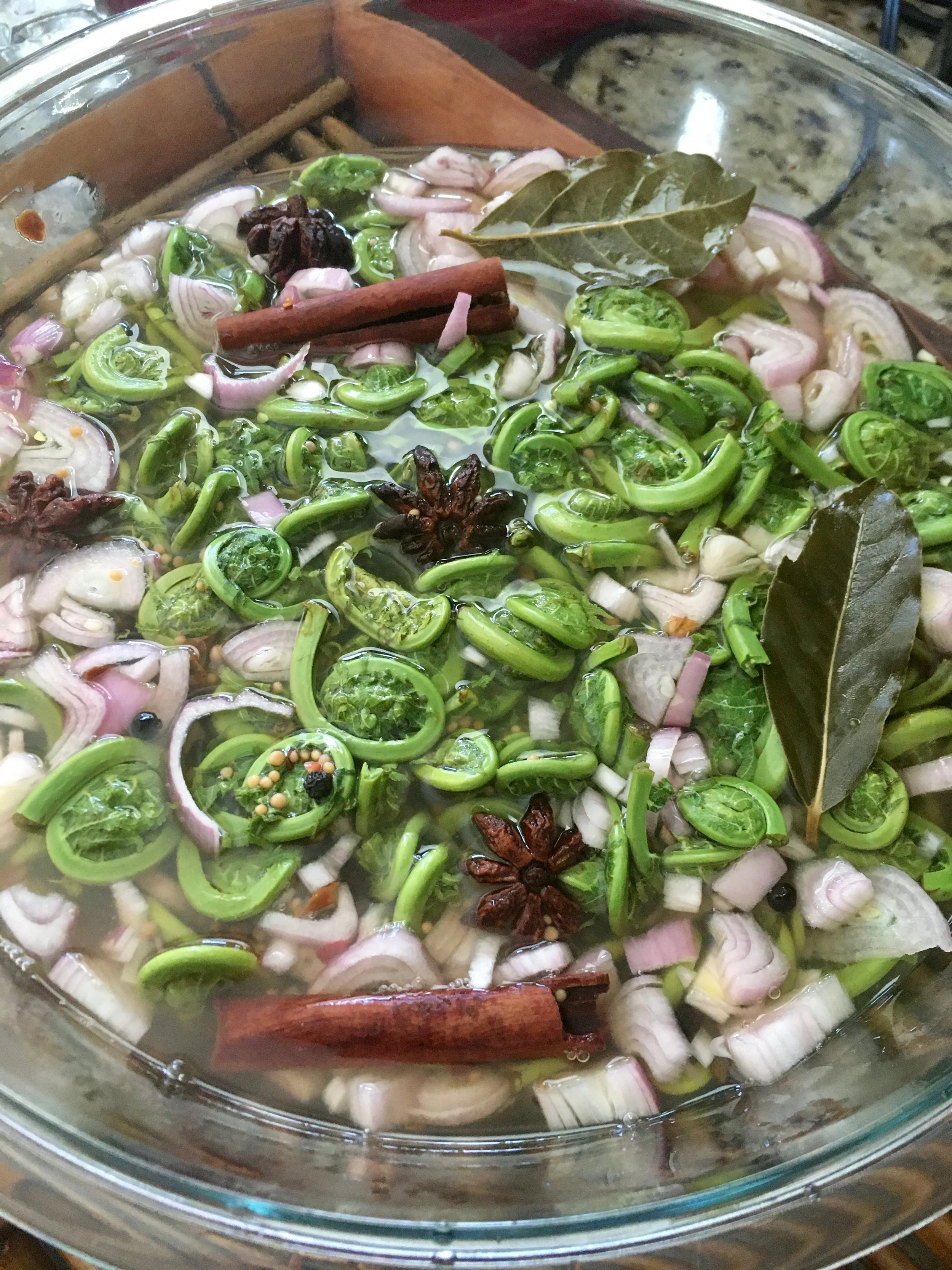Lentil and Fiddlehead Soup