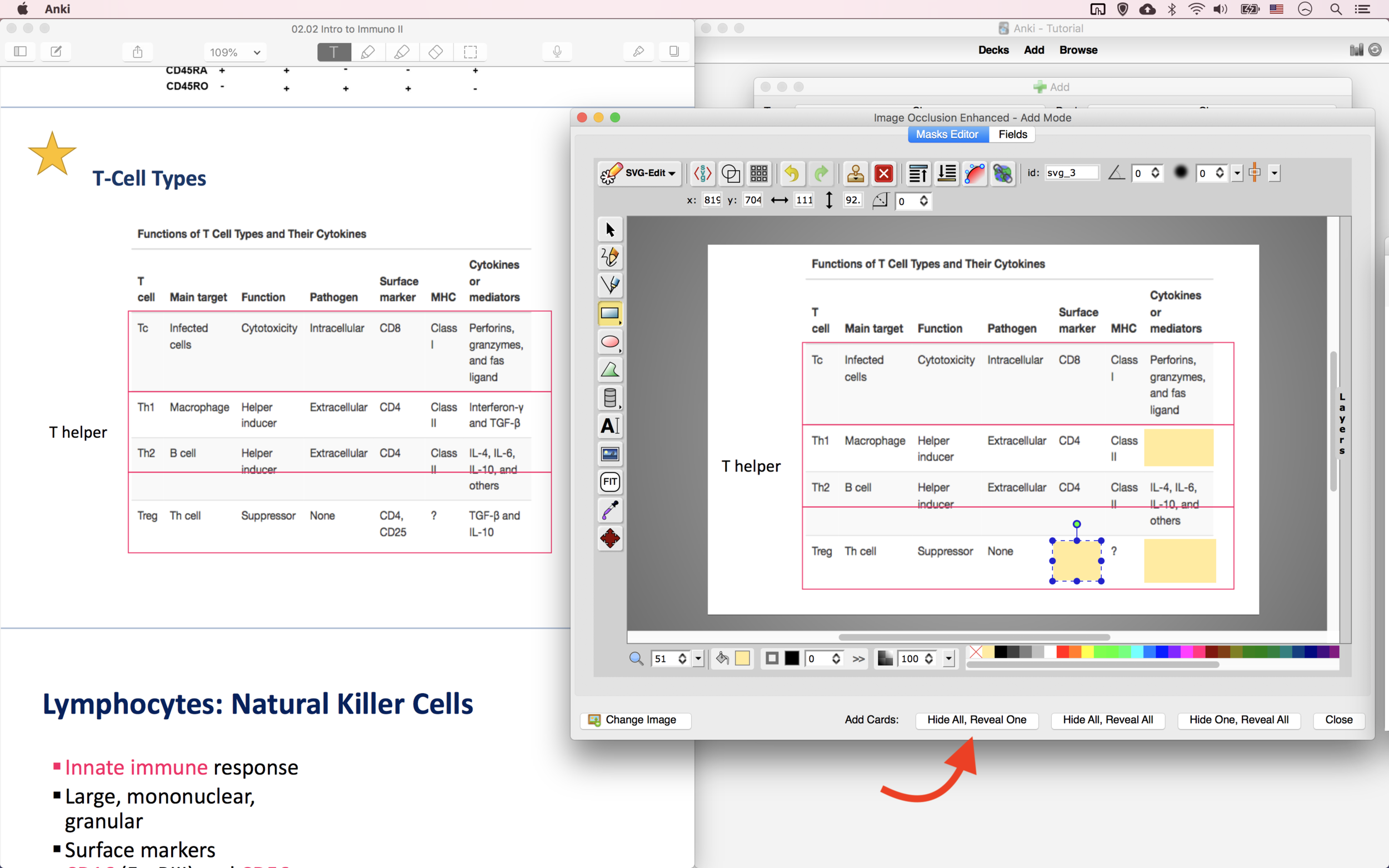 6 Steps to Make High Yield Anki Cards for Medical School — SHAMIM AHMED