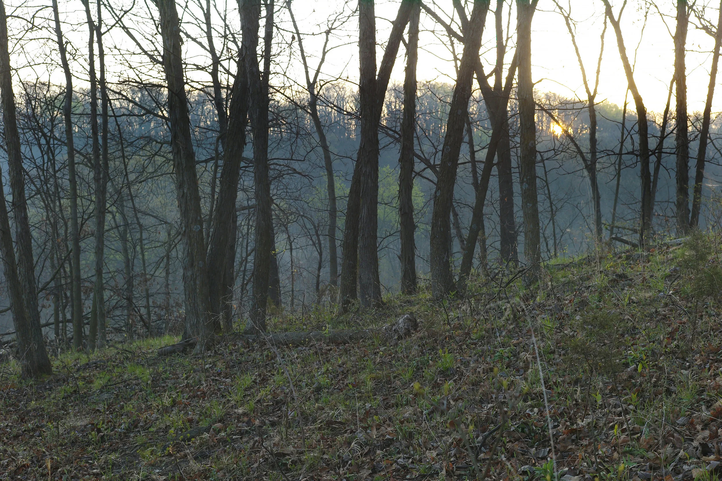 Spring Woods Sunrise, Atchison County, Kansas