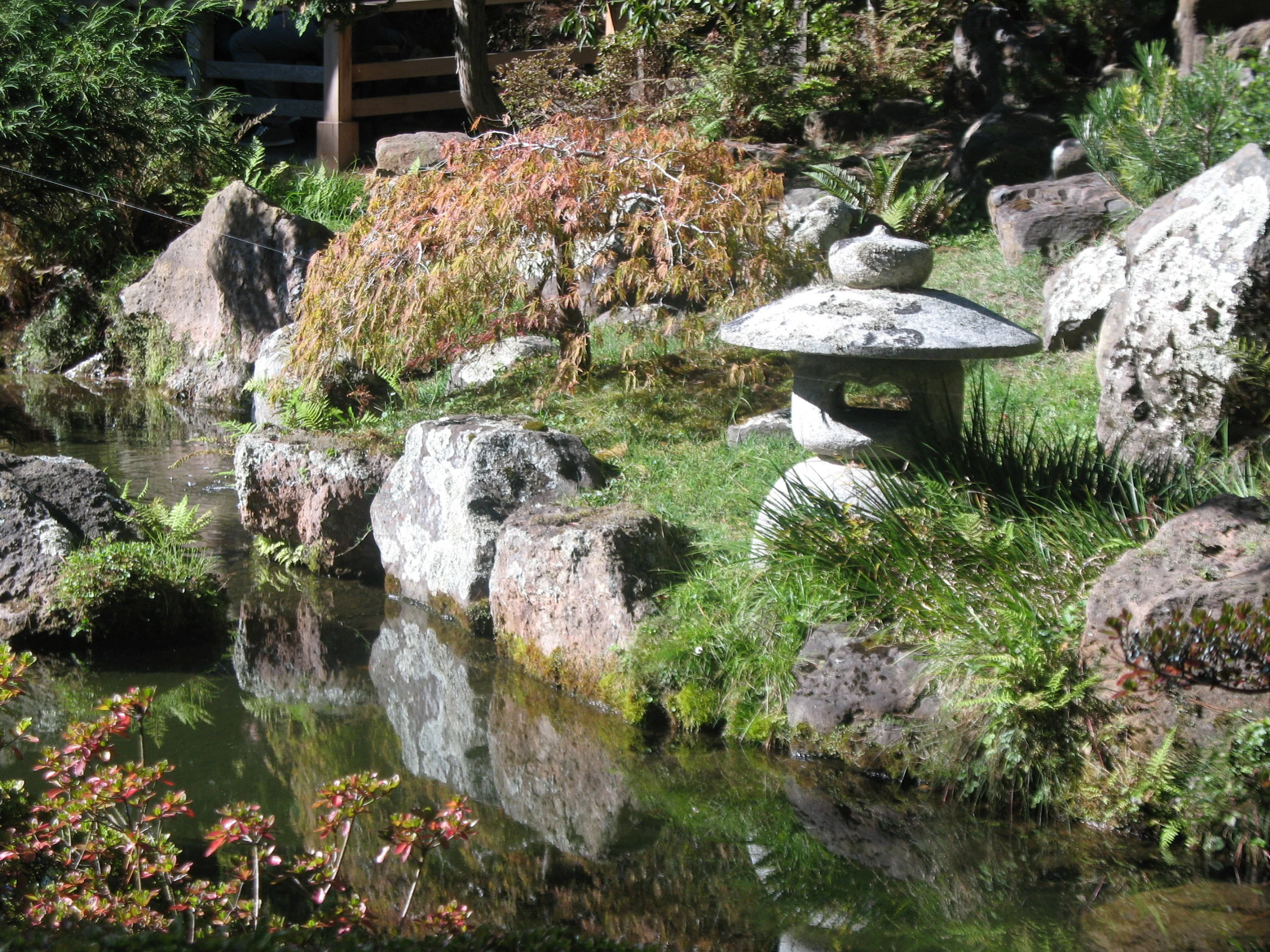 Education page header.JPG