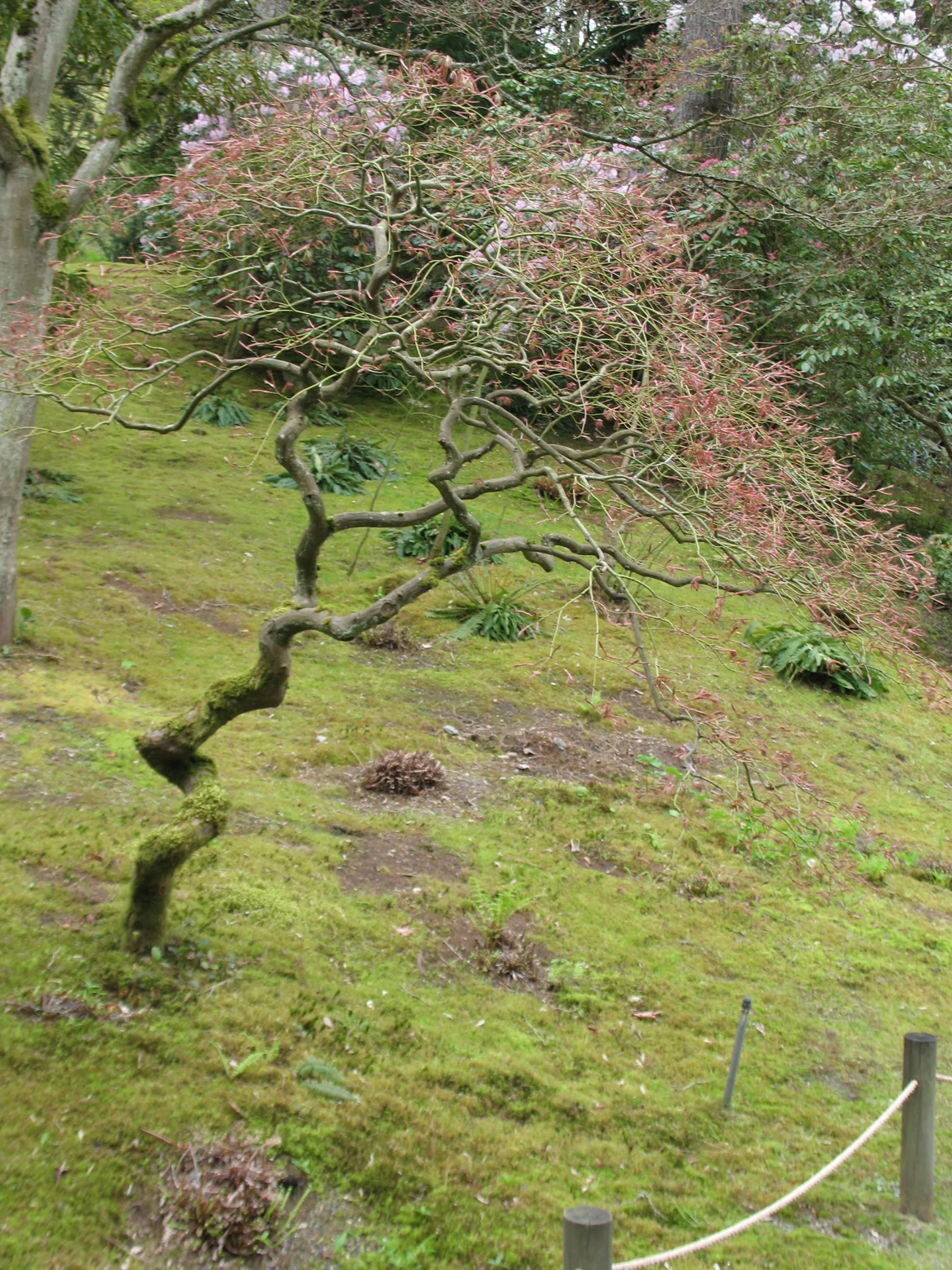 Spirituality header.JPG