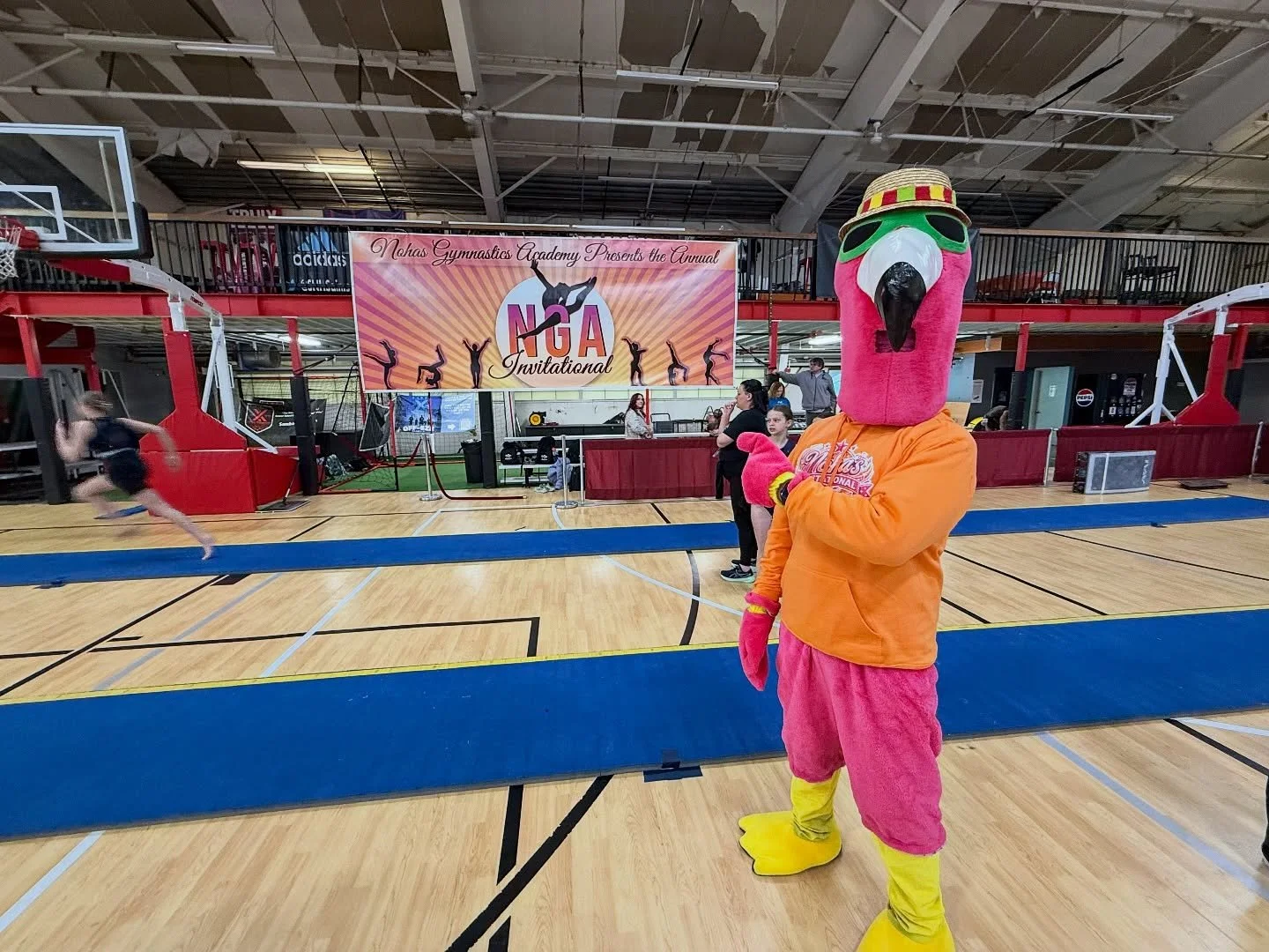 TVs 📺 beam queens 👑 and a whole lotta of Freddy 🦩🦩🦩

What a way to kick off our morning at our 9th Annual Noha&rsquo;s Invitational 💖🧡

Stay tuned for more updates, more pictures from Vegas✨ and of course&hellip; more Freddy 🦩