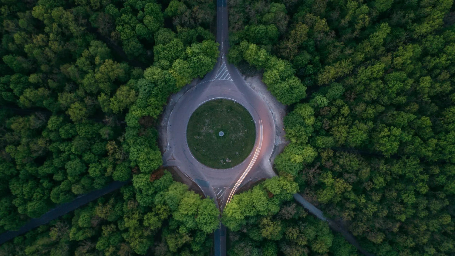 treesandroads.jpg