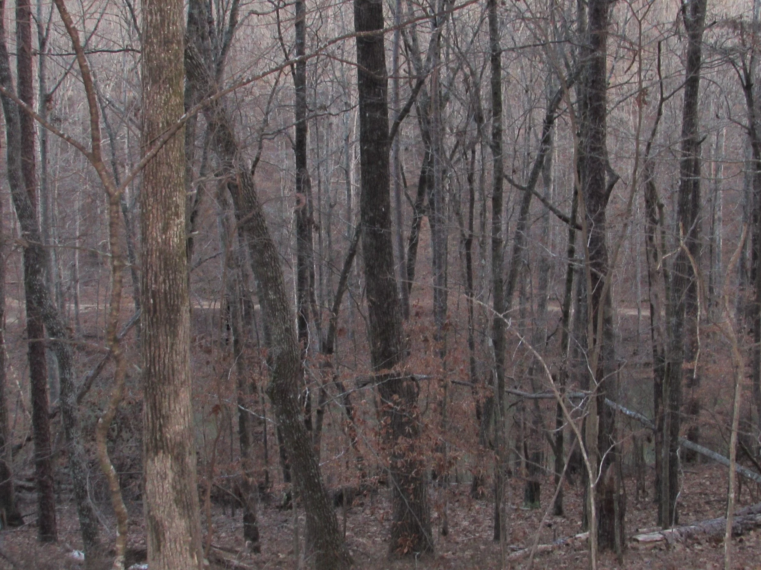 Homesite #56 List Price: $205,000 Size: 2.17 acres Section: Pelham Street: Oakridge Way