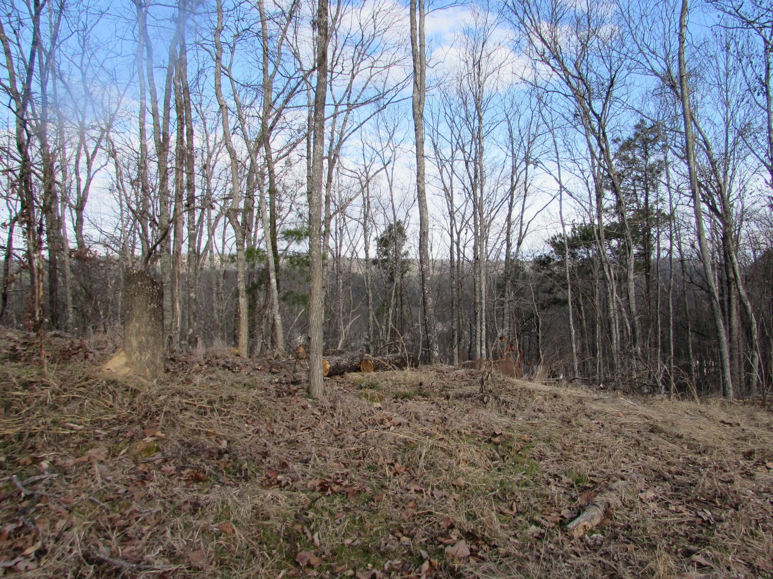 Homesite #61 List Price: $175,000 Size: 1.9 acres Section: Pelham Street: Oakridge Way