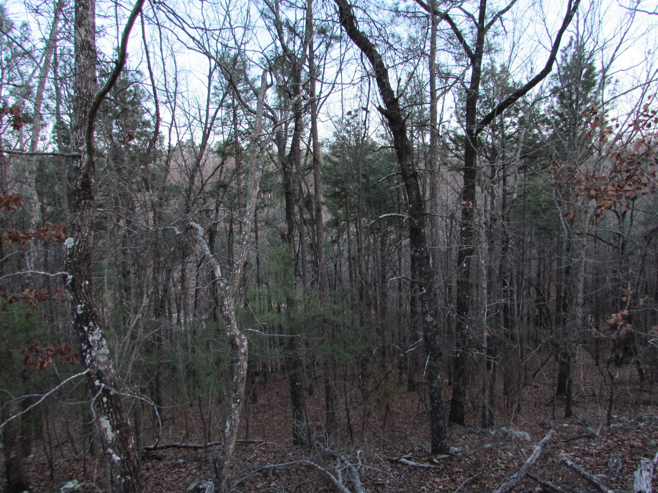 Homesite #59 List Price: $205,000 Size: 2.16 acres Section: Pelham Street: Oakridge Way