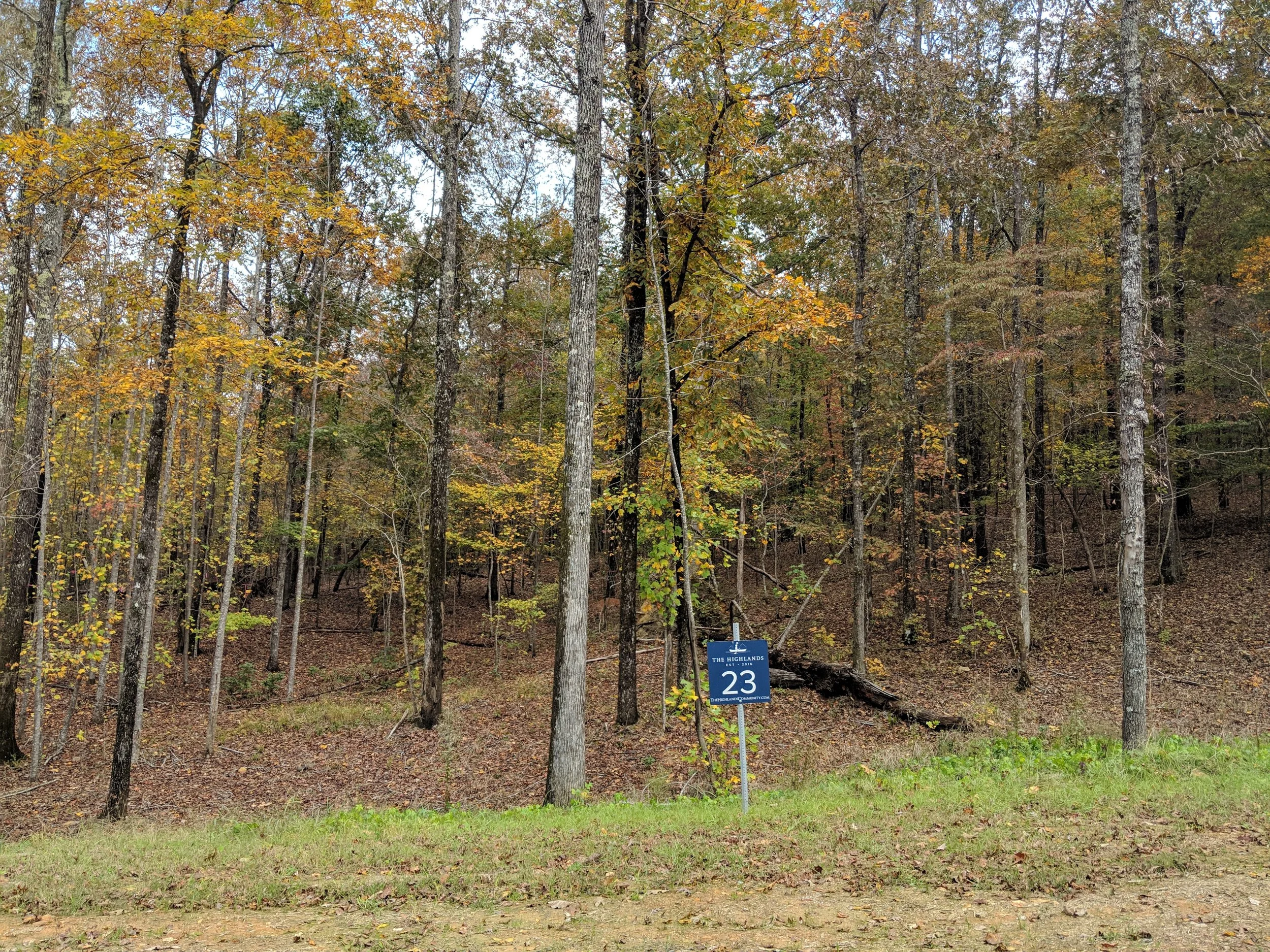 Homesite #23 List Price: $105,000 Size: 1 acre Section: Chelsea Street: Timberview Trail