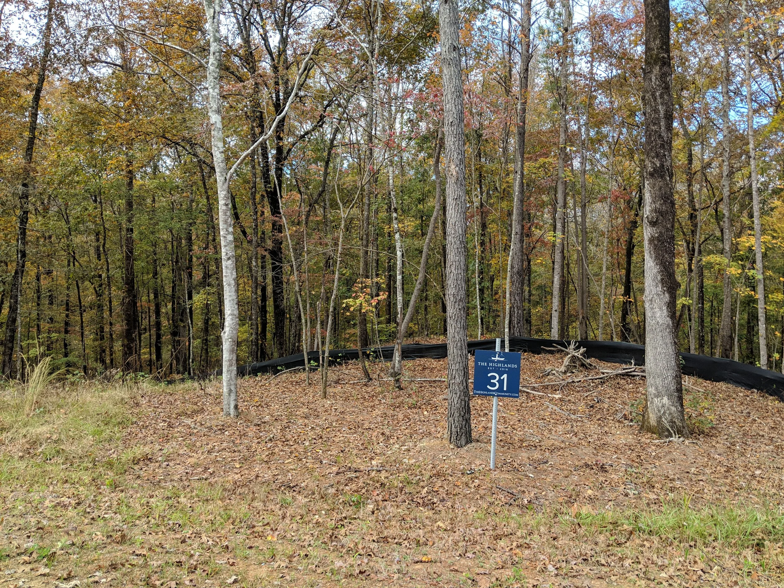 Homesite #31 List Price: $105,000 Size: 1.1 acres Section: Chelsea Street: Timberview Trail