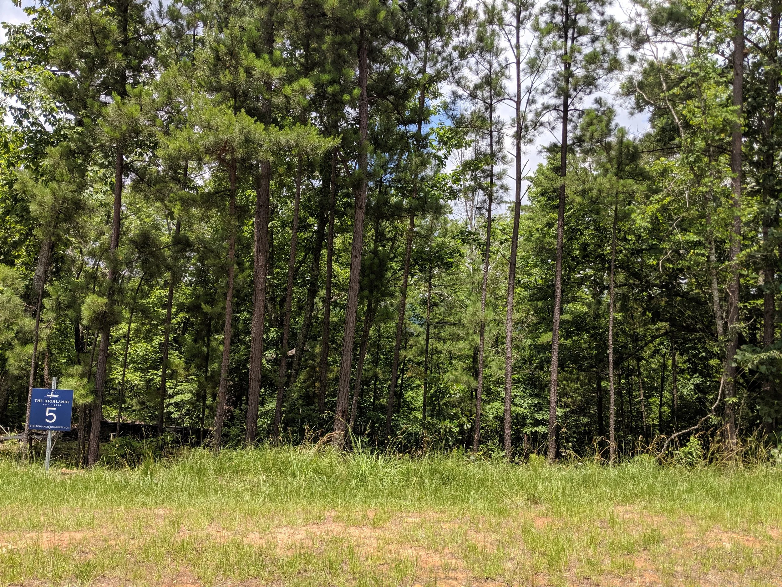 Homesite #5 List Price: $190,000 Size: 1.52 acres Section: Pelham Street: Lindsay Lane