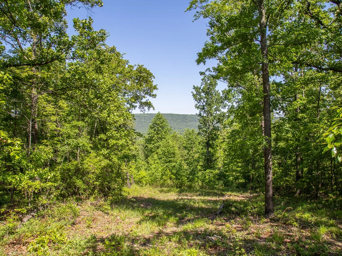 Homesite #22 List Price: $427,500 Size: 8.04 acres Section: Pelham Street: Two Mountain Parkway