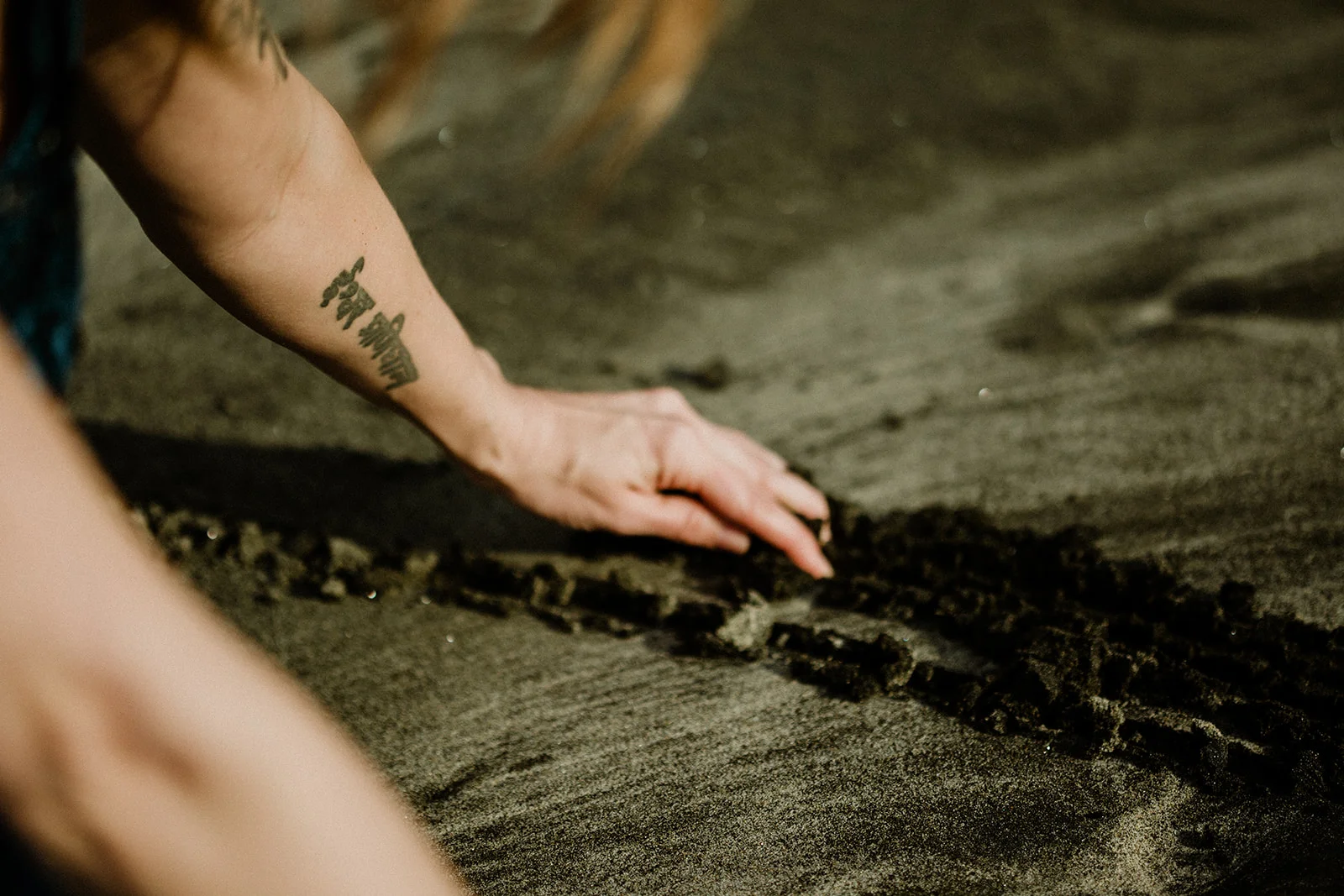 lynn wolfbrandt sexuality coaching courses.jpg