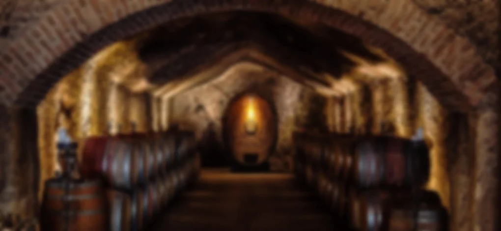 taste-wine-buena-vista-winery-caves-j.jpg