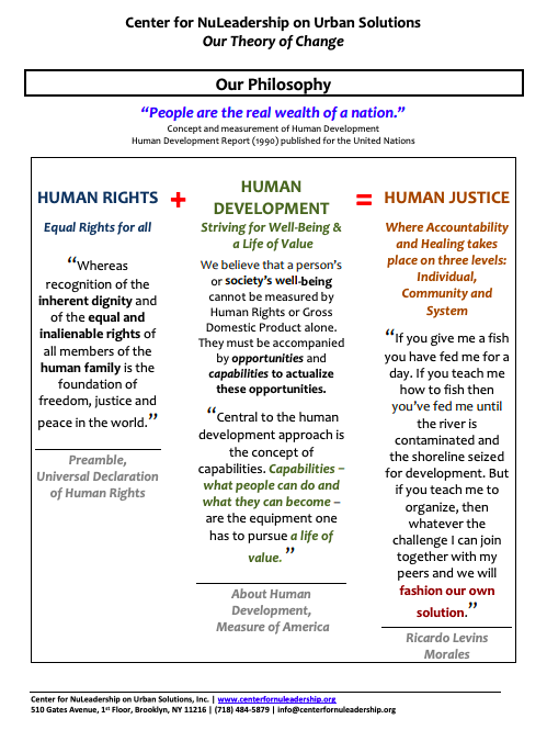 CNUS Theory of Change