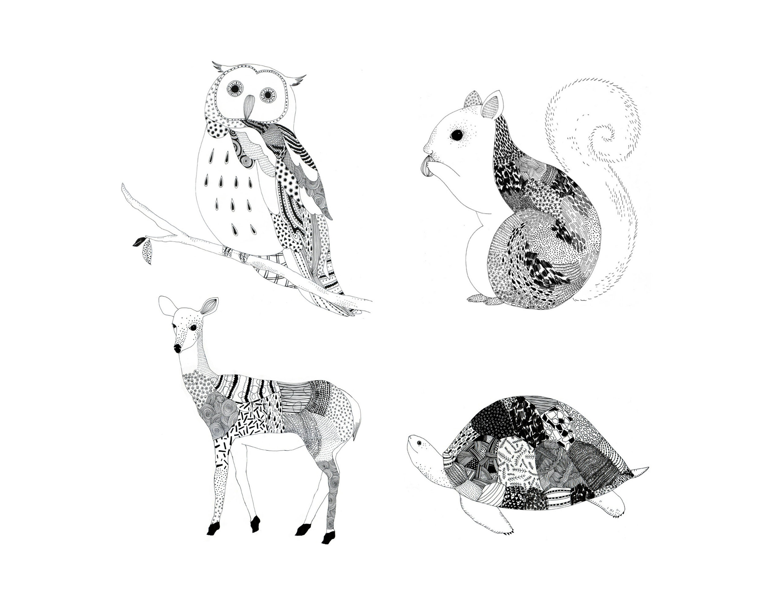 woody animals in pen_web.jpg
