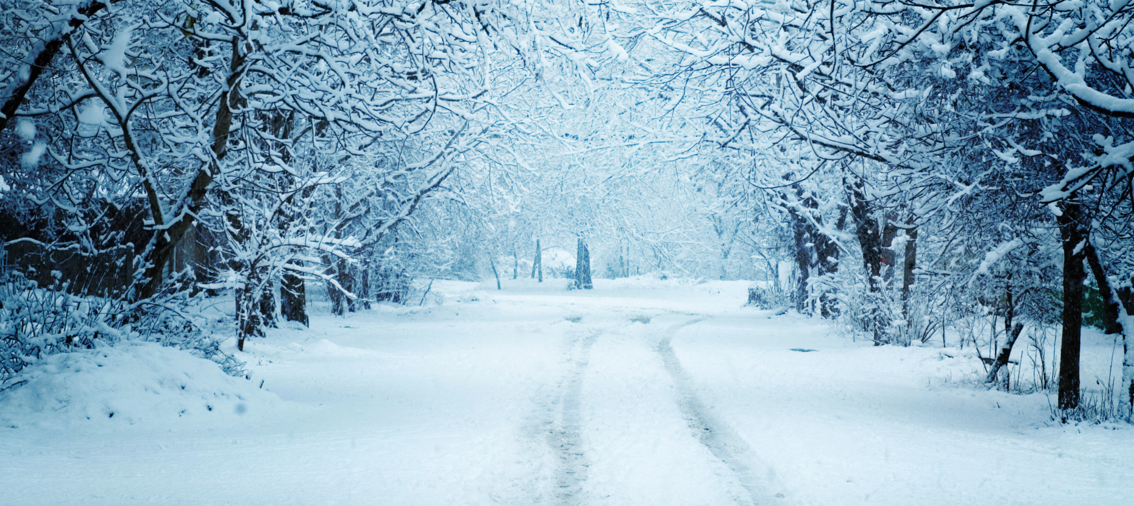 Untitled design - 2020-12-11T093527.203.png