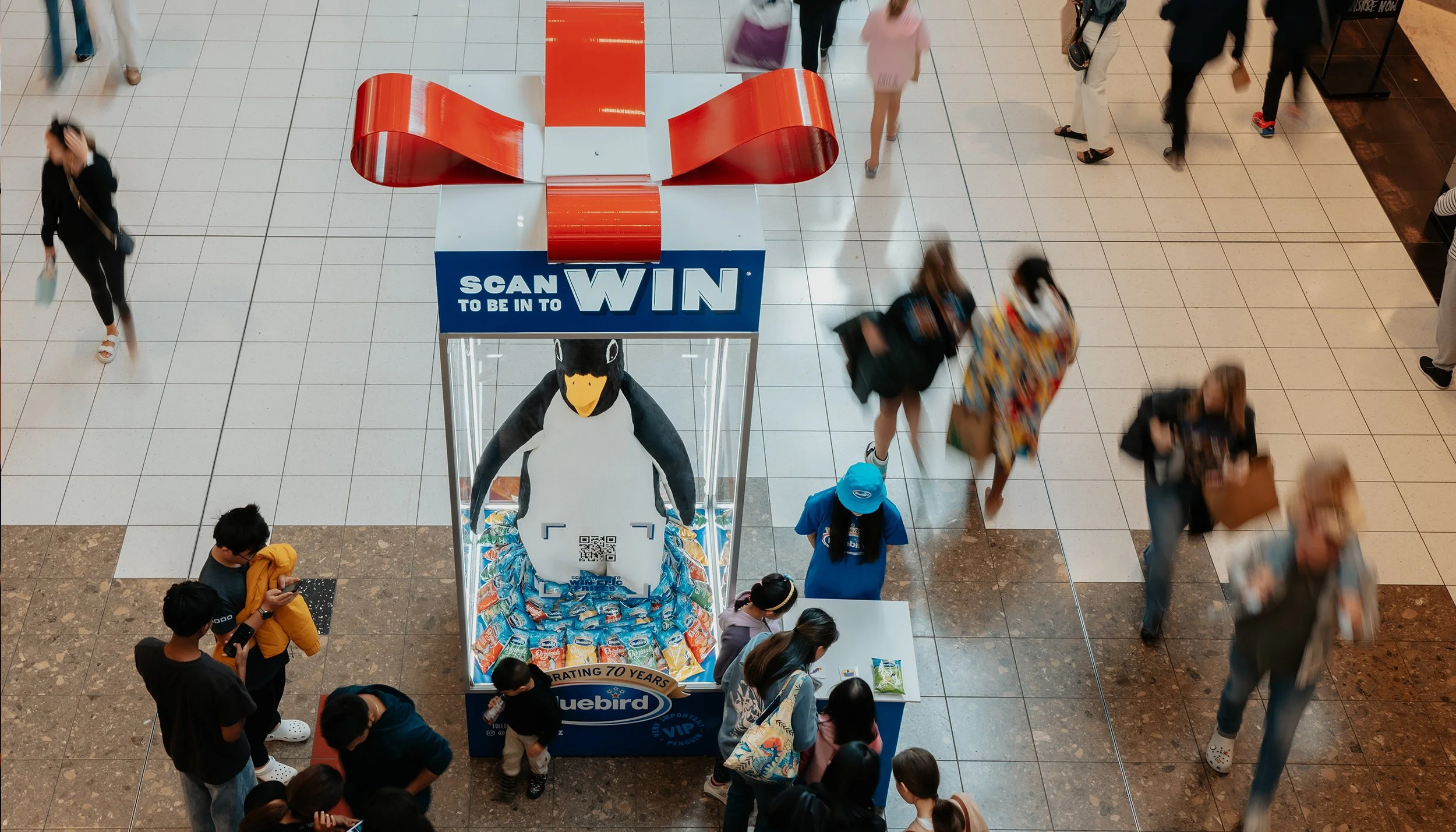 Bluebird-VIP-CS-1@2x copy.jpg