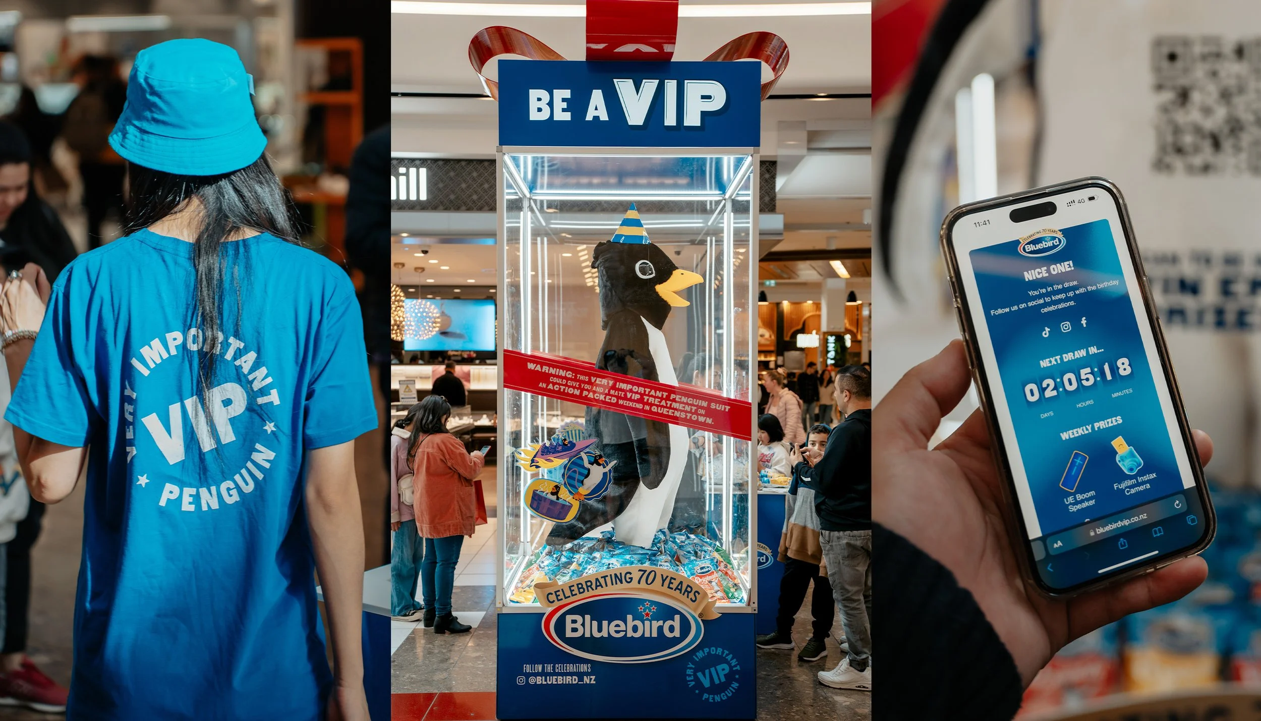 Bluebird-VIP-CS-1B@2x copy.jpg