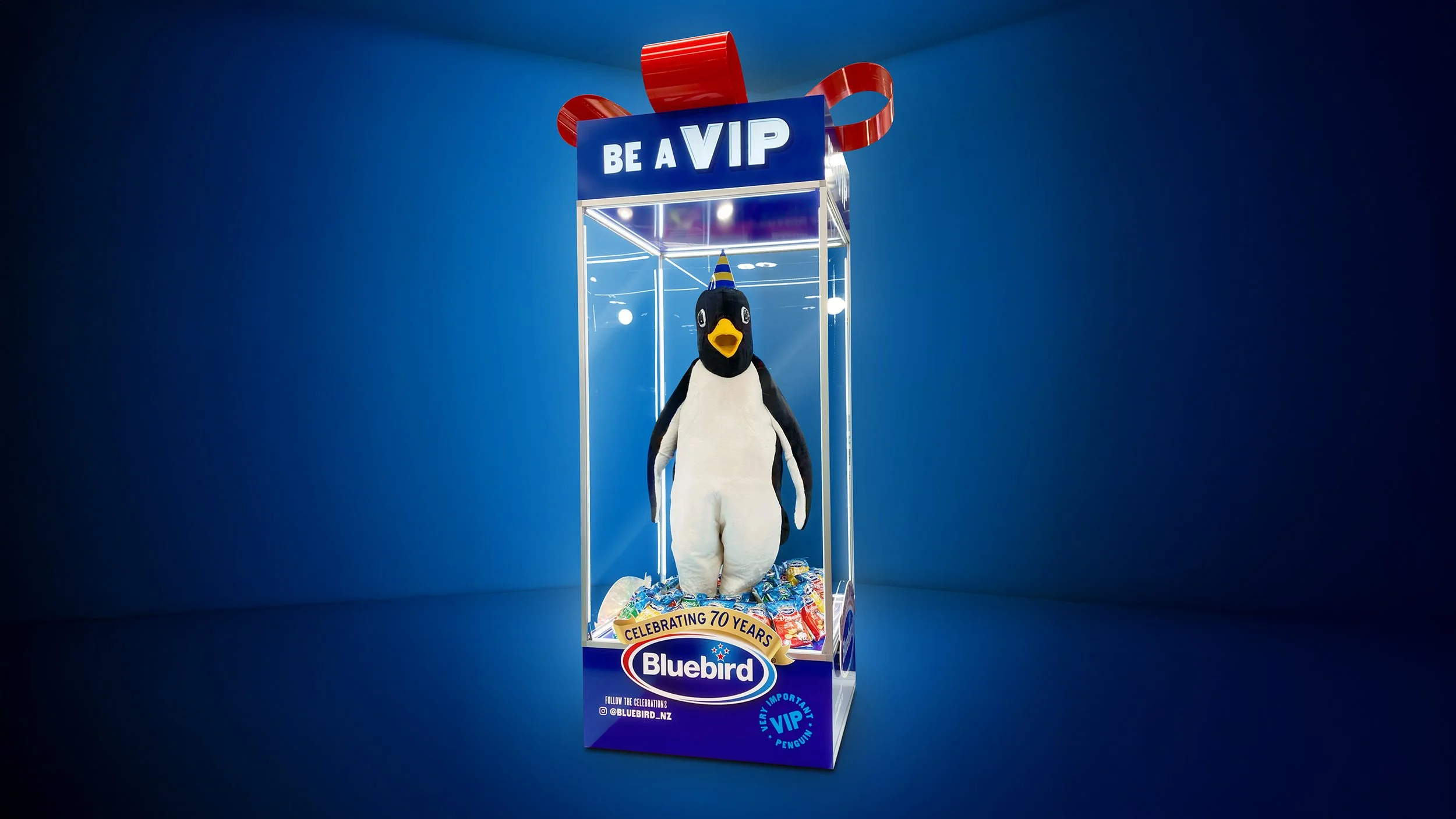 Bluebird-VIP-CS-Box@2x copy.jpg