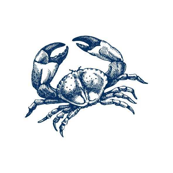 Compiled sketches_RGB_Crab-15.png