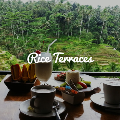 Lunch next to Rice Terraces in Bali