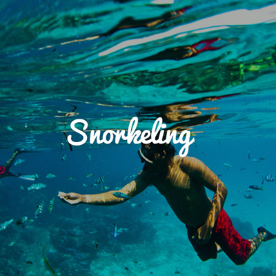 Go Snorkelling and Scuba Diving on our Group Trip (Copy)