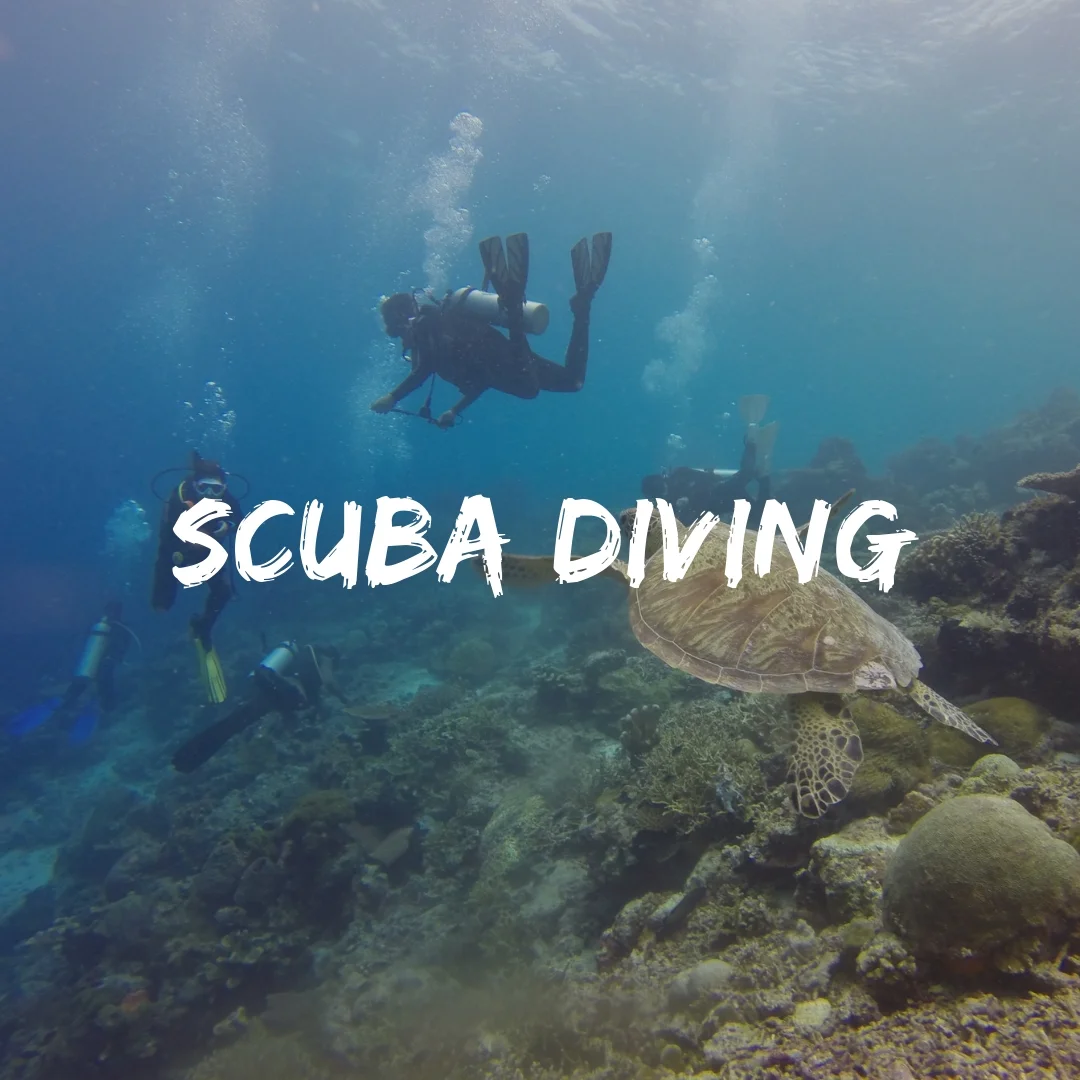 Copy of Scuba Dive on a Group Trip (Copy)