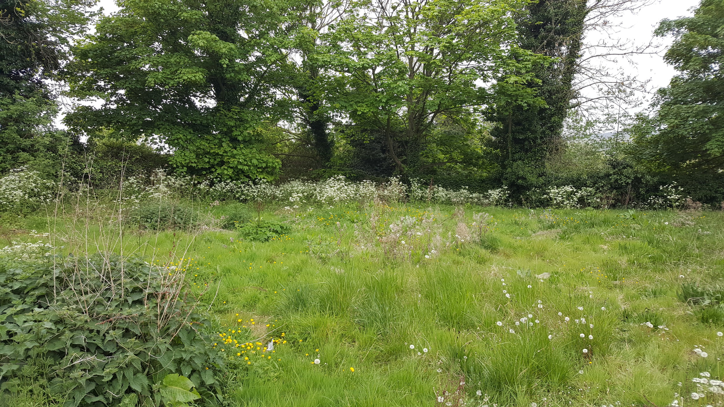 20170509_092611.jpg