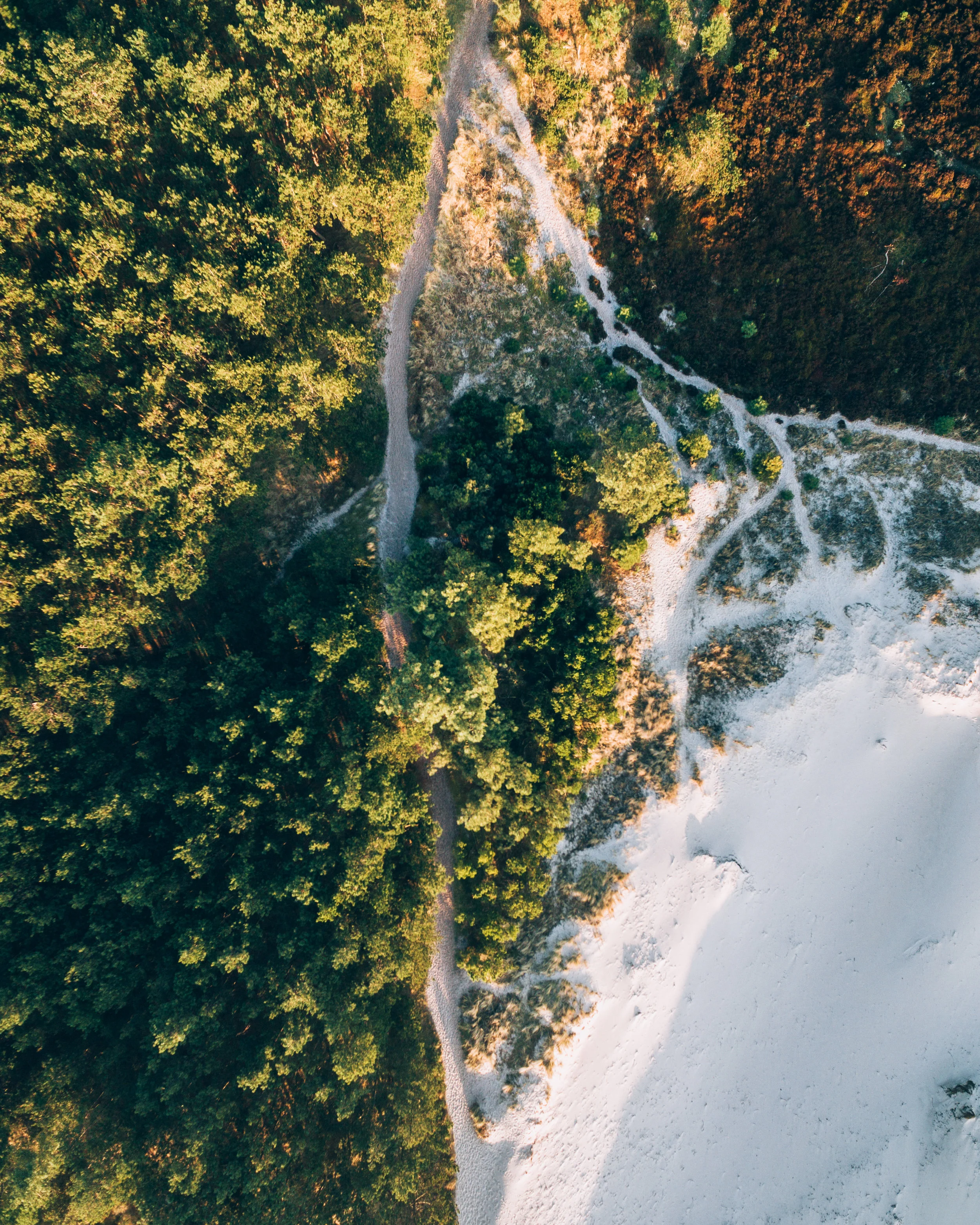 DJI_0036.jpg