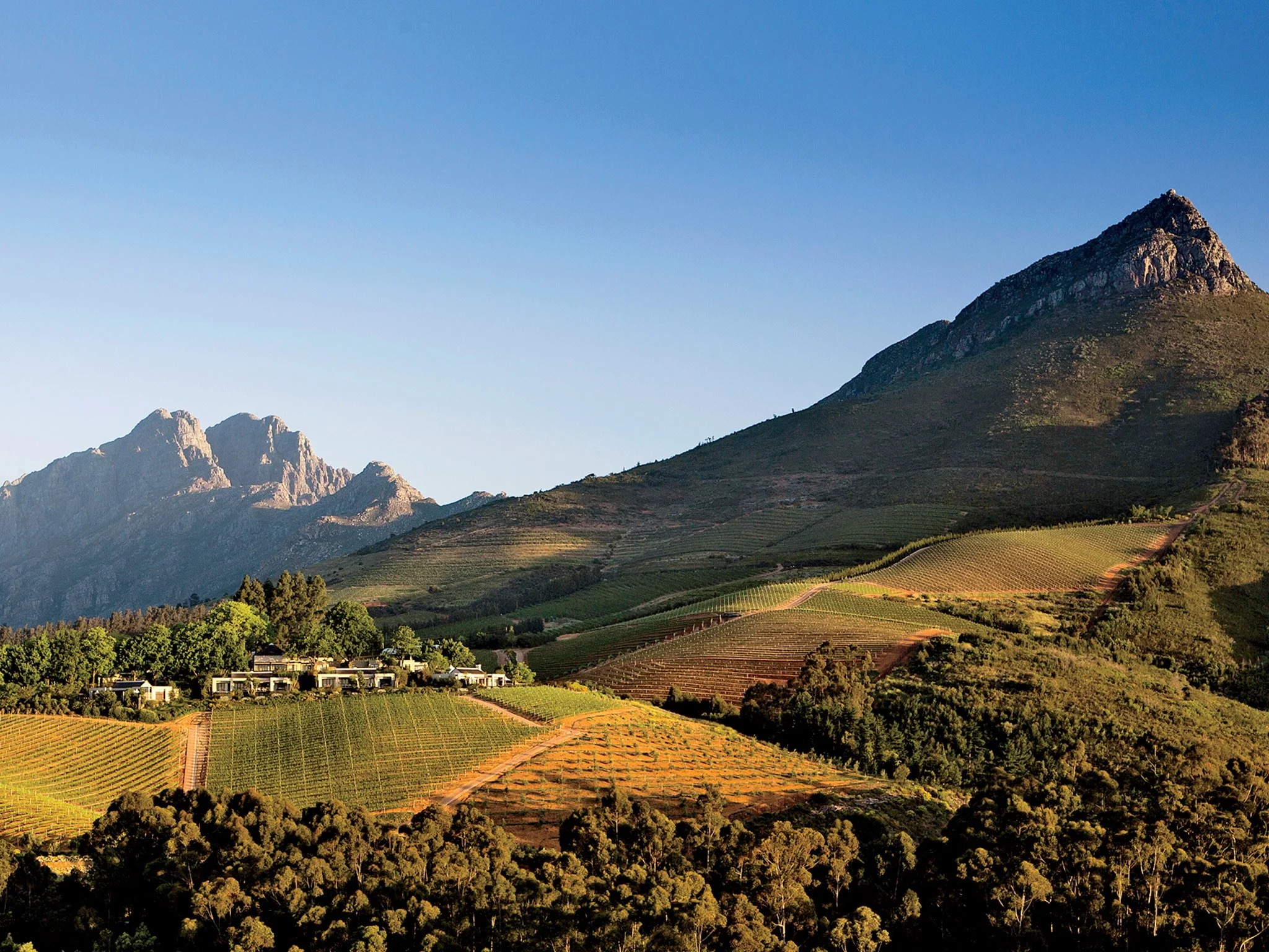 stellenbosch.jpg