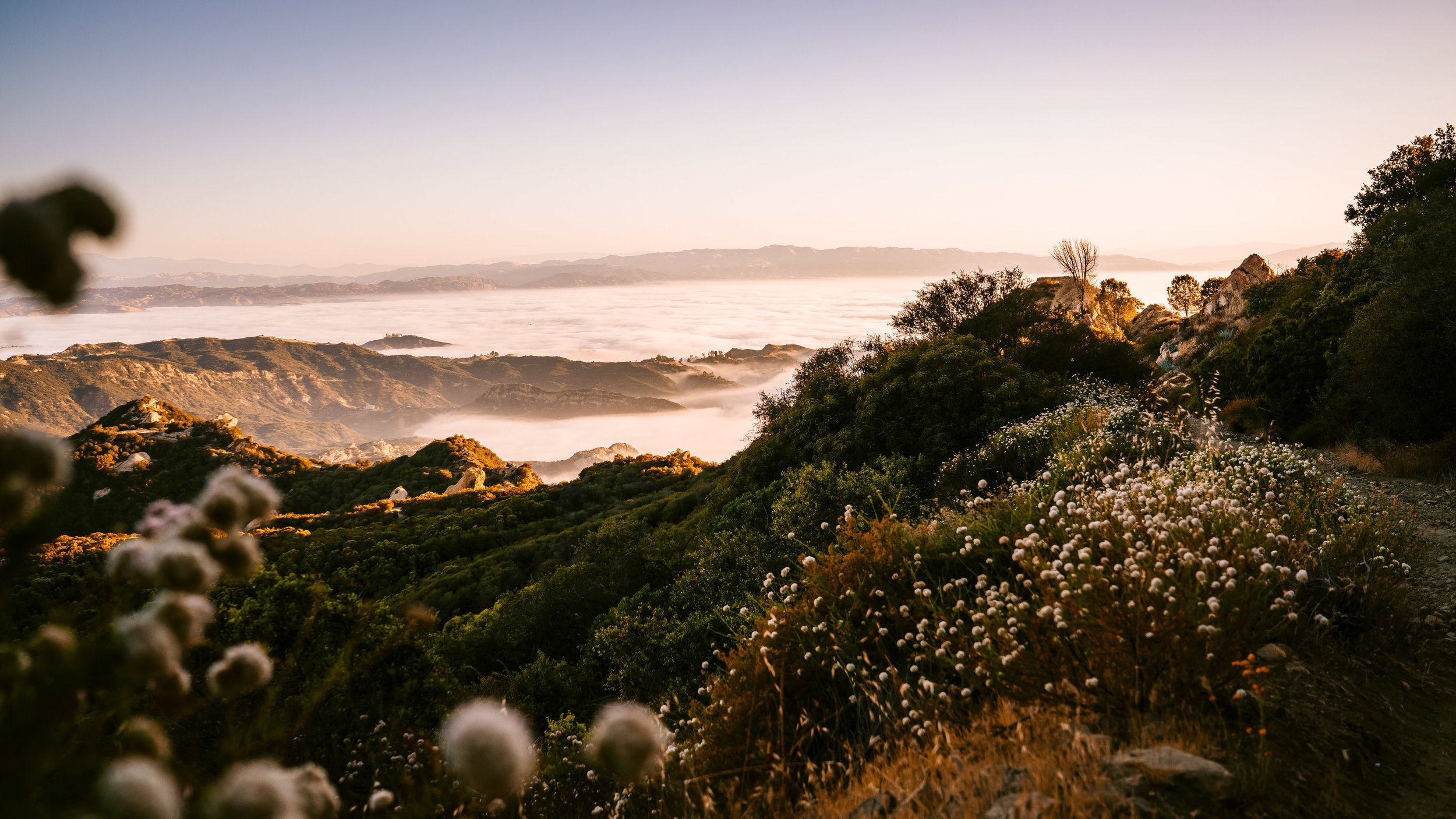 Mystery Piano Morning.jpg