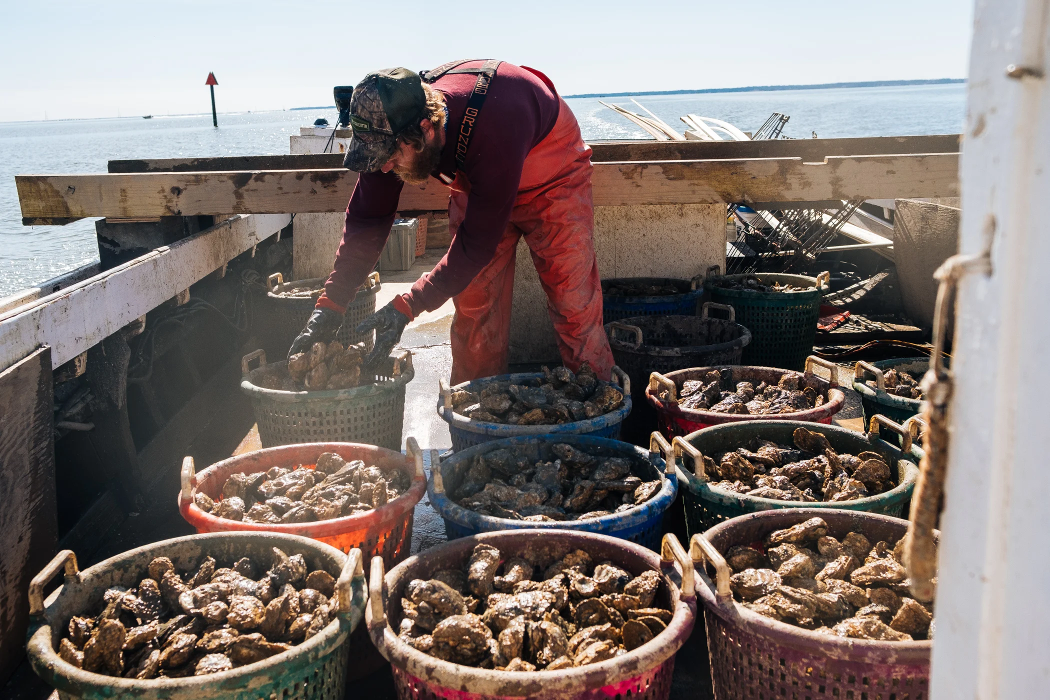 Catch Of the Day.jpg