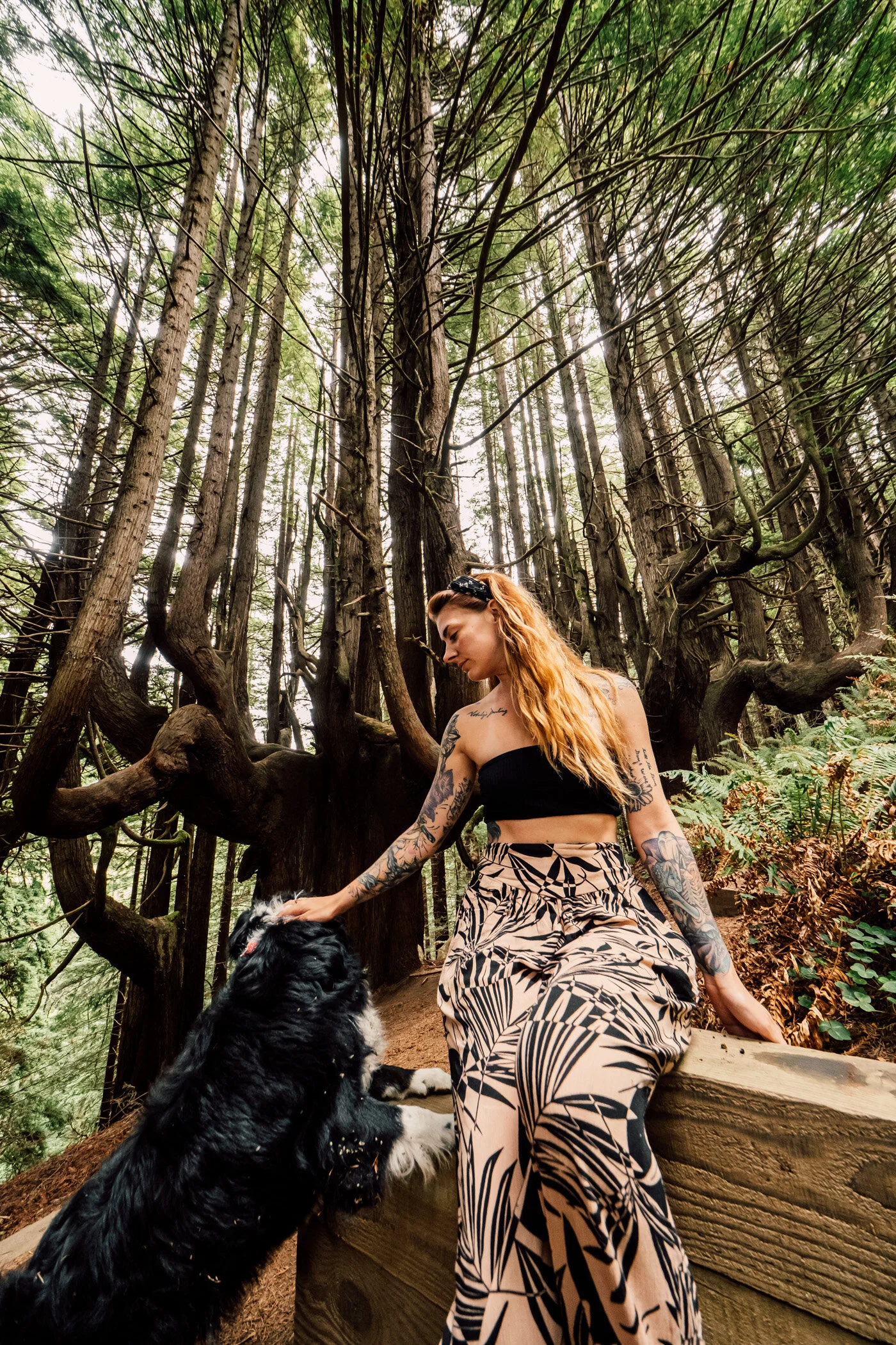 Enchanted Forest-5.JPG