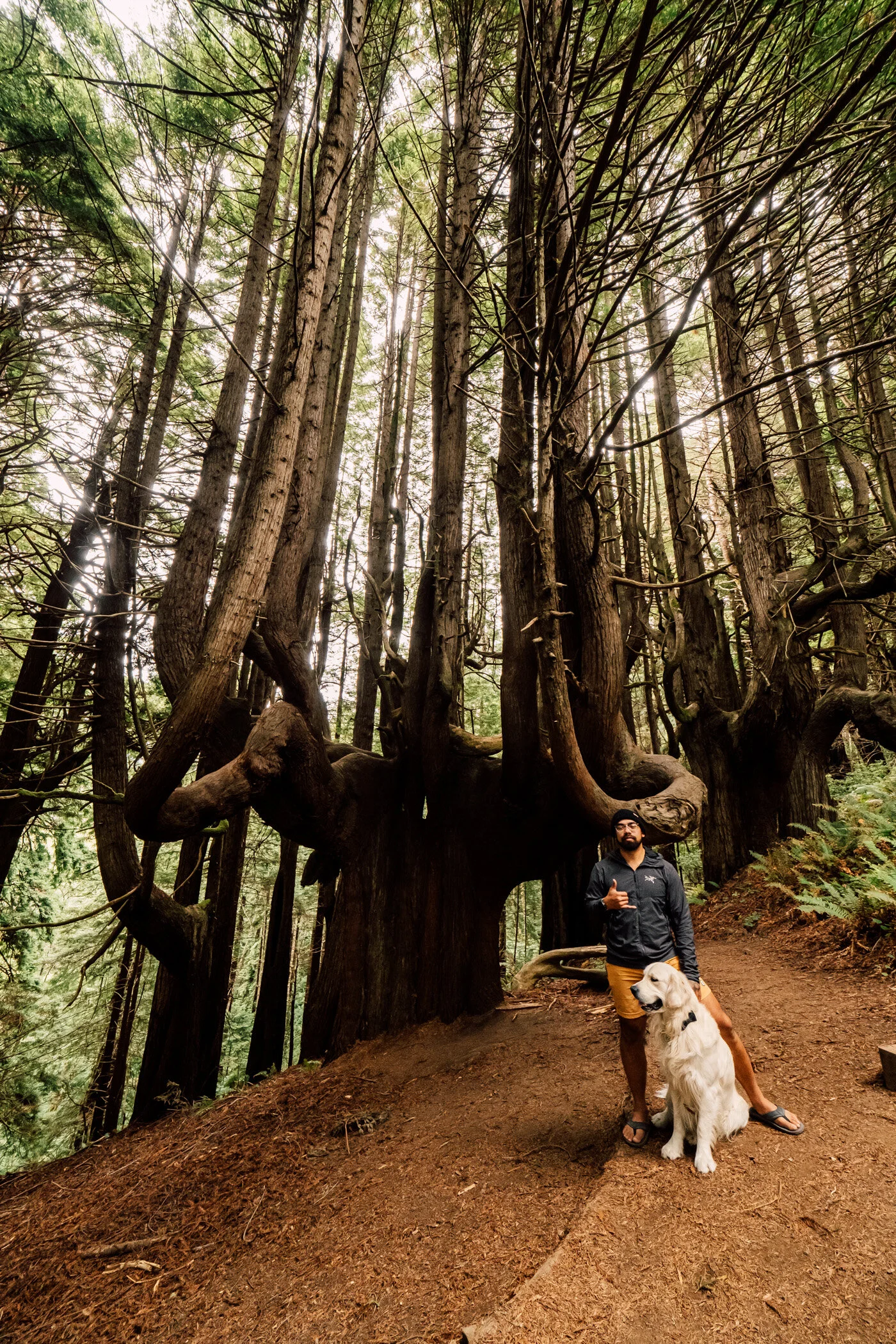 Enchanted Forest-4.JPG