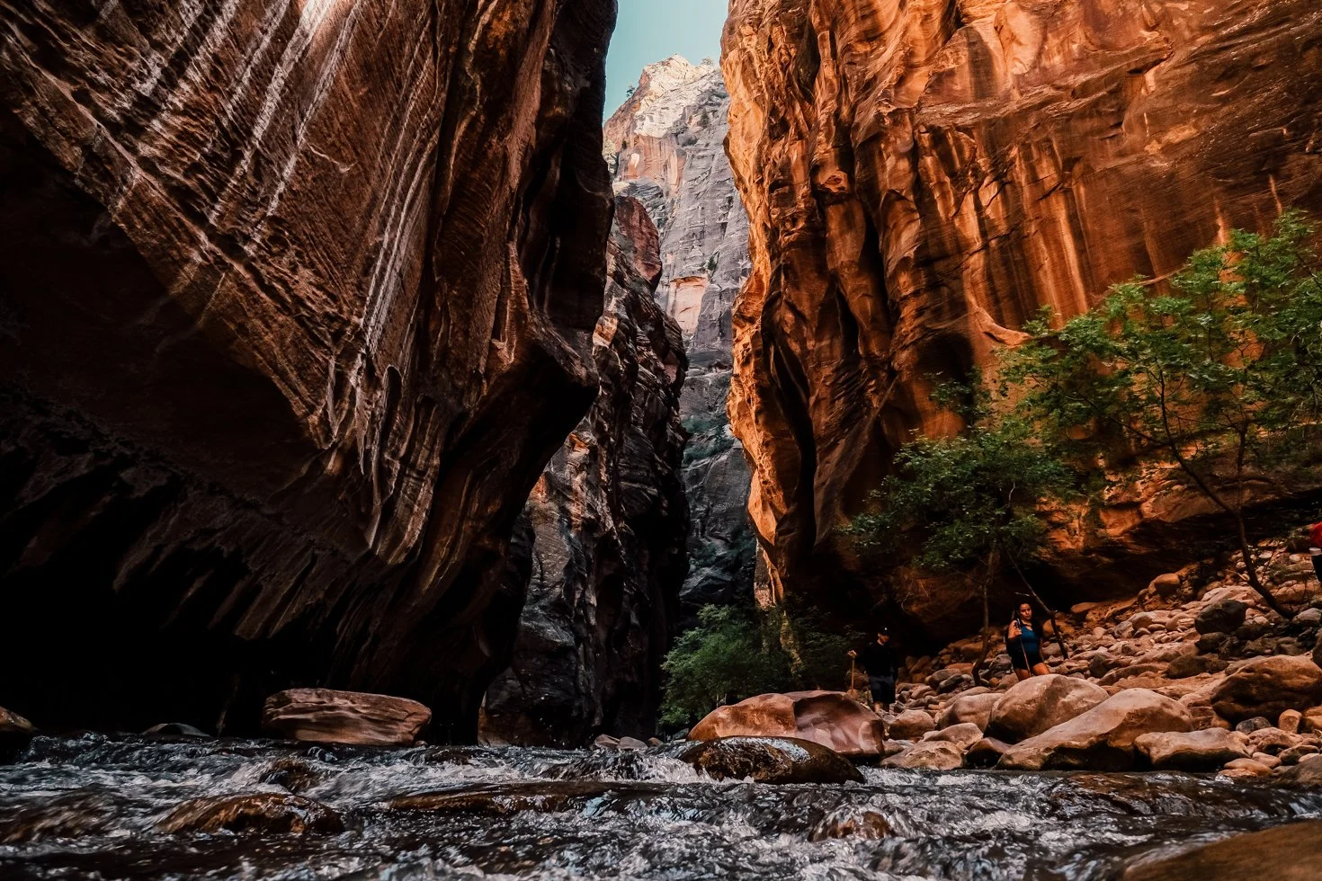 Zion-4.jpg