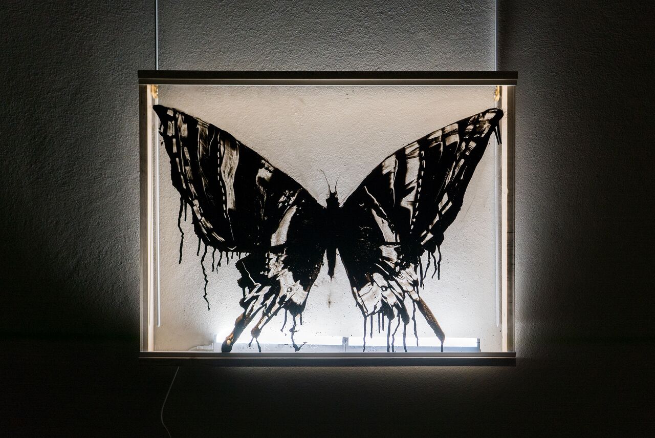 De kleuren in het licht.vervolg 56 x 76 cm not available