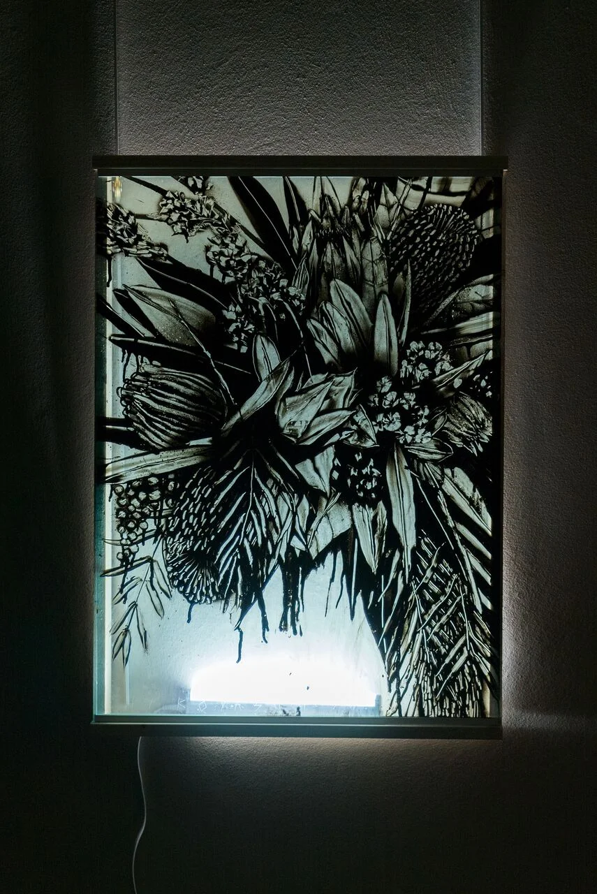 Flowers from Australia 56 x 76 cm