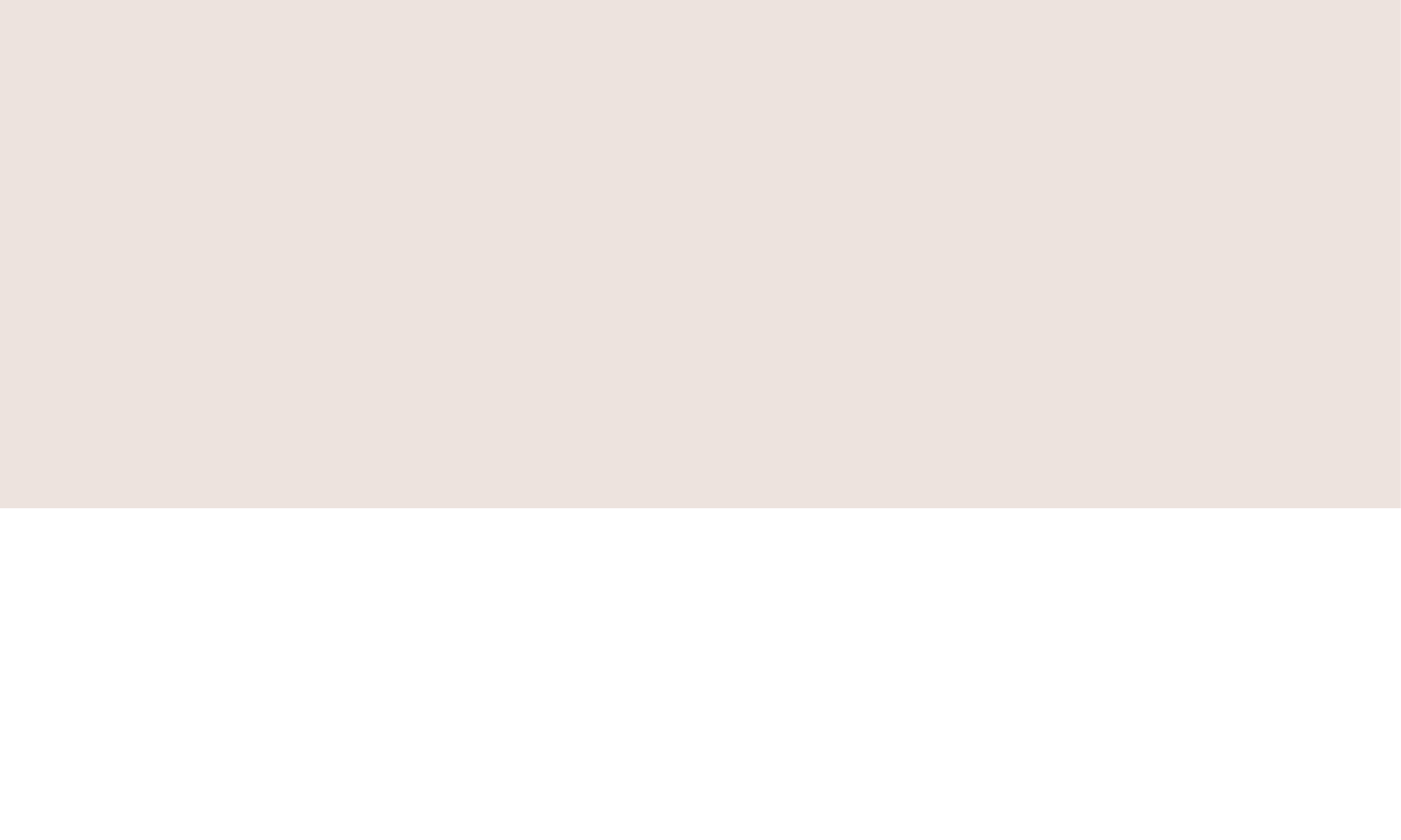 LALO ABOUT US 2.png