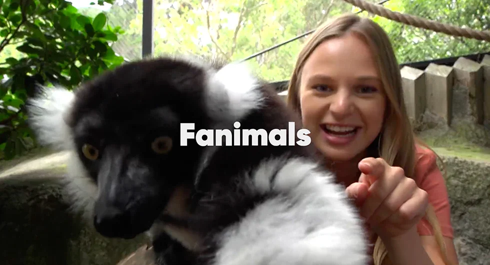   Editor     “Fanimals” Hype Reel    Client: Whitebait Media | Production: Whitebait Media 
