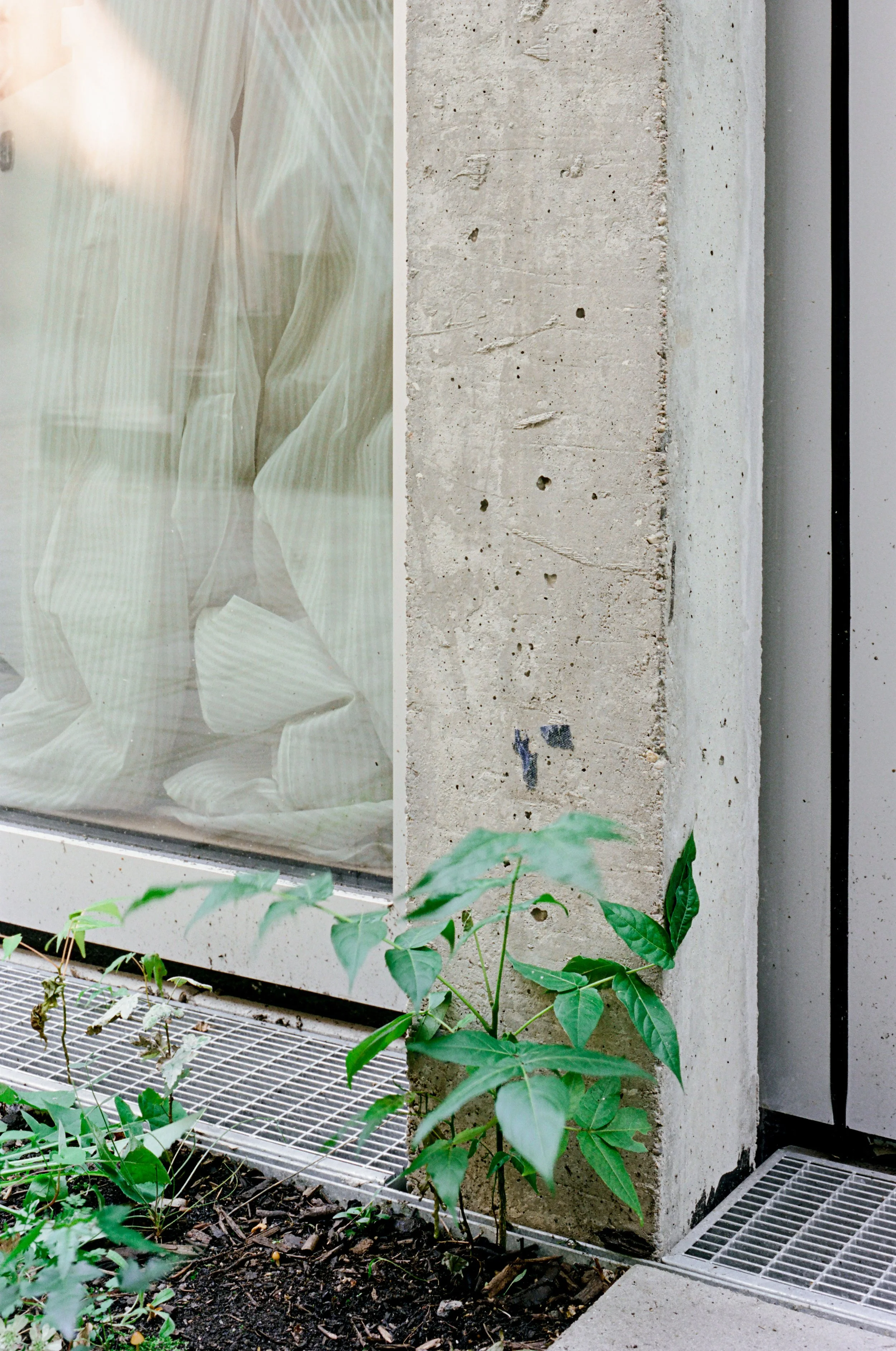 HRMT_Hinterhaus_Berlin_JPG_LOWRES_0005.jpg