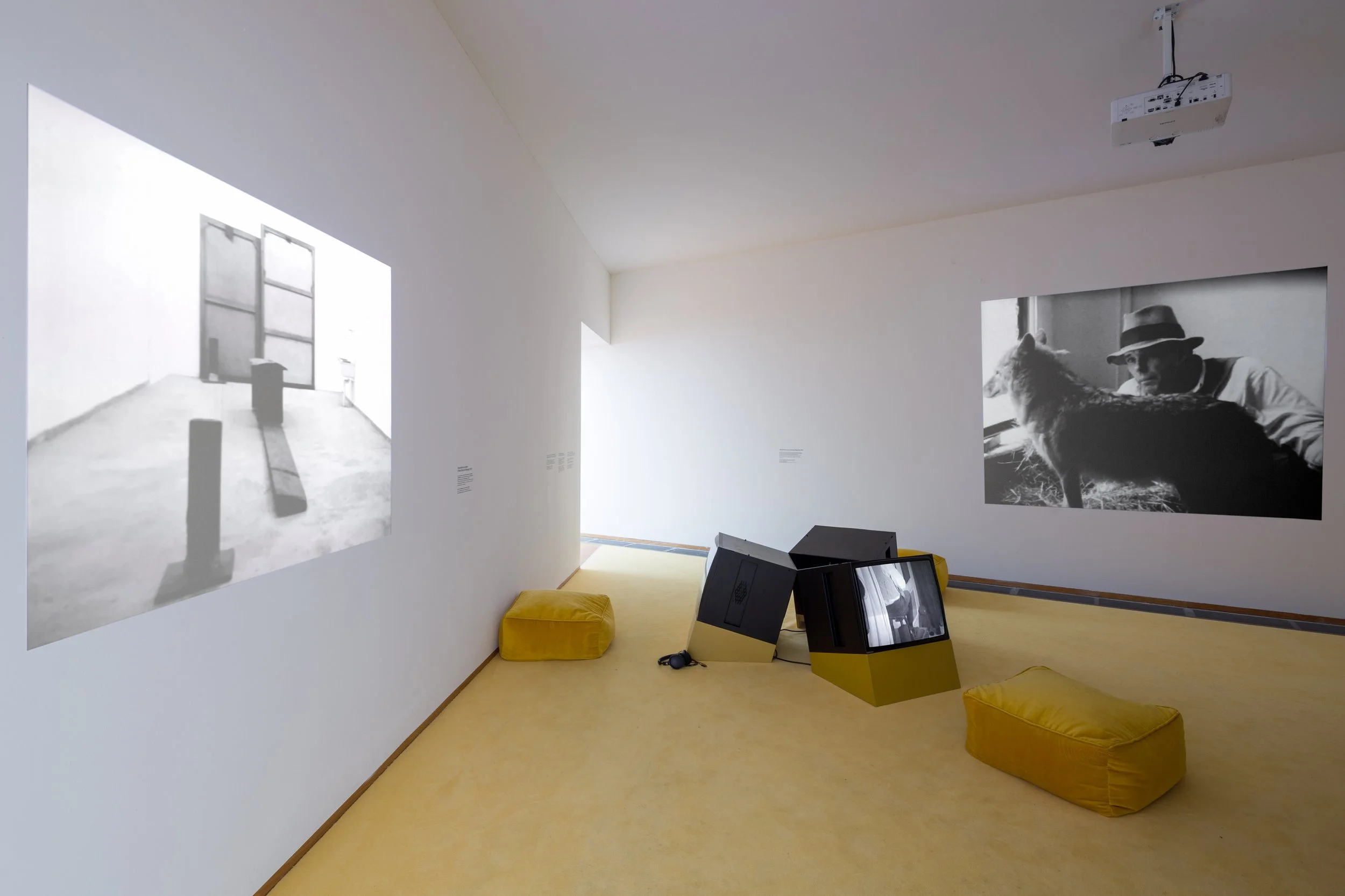 HBF_JOSEPHBEUYS_LaForgia_JPEGs_HIGHRES_39.jpg