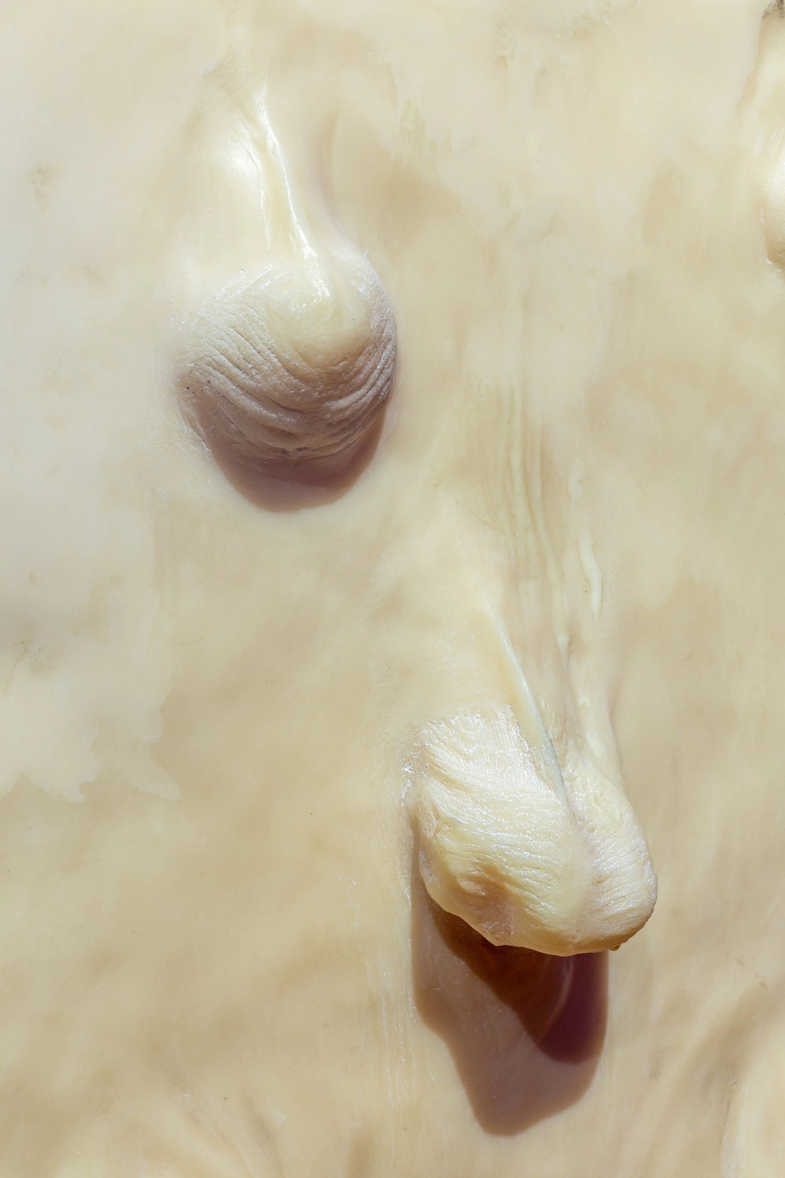 HBF_MARIANNASIMNETT_LaForgia_JPGs_HIGHRES_6.jpg