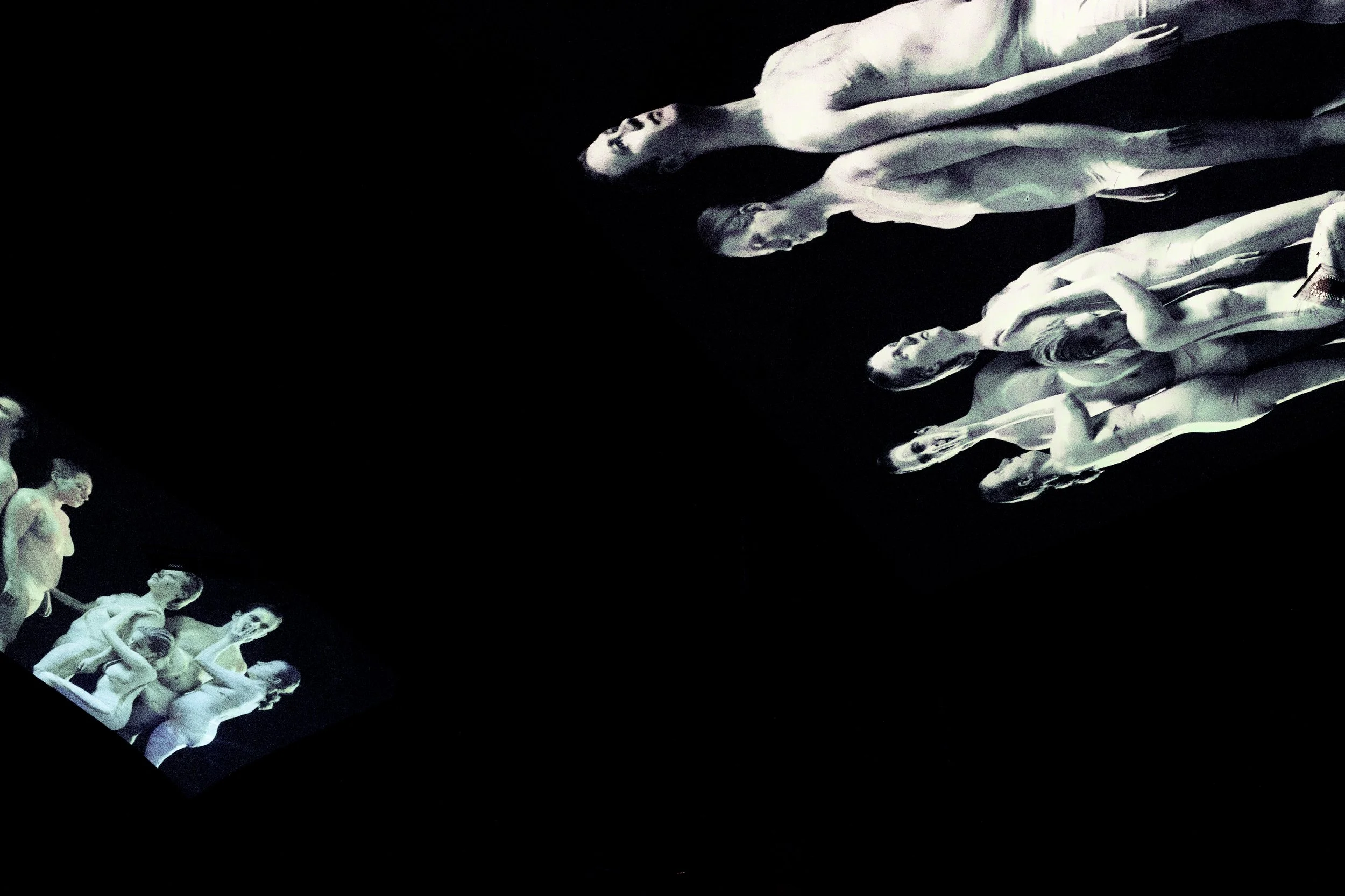 202202_HUM–AN_©Sophie Pischel_304.jpg