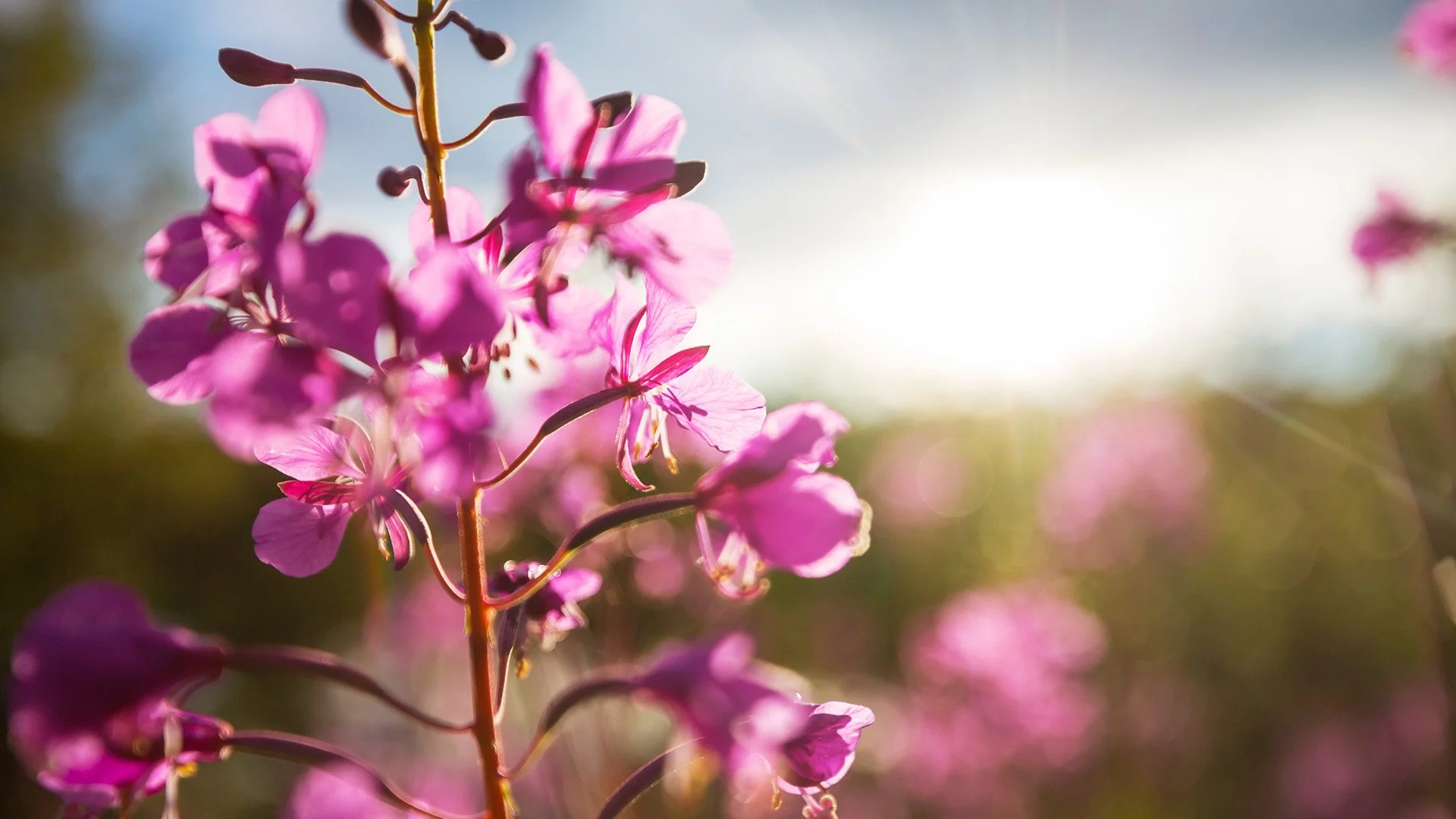Stop Waiting to Be Served: Building Life-Giving Friendships in the Church