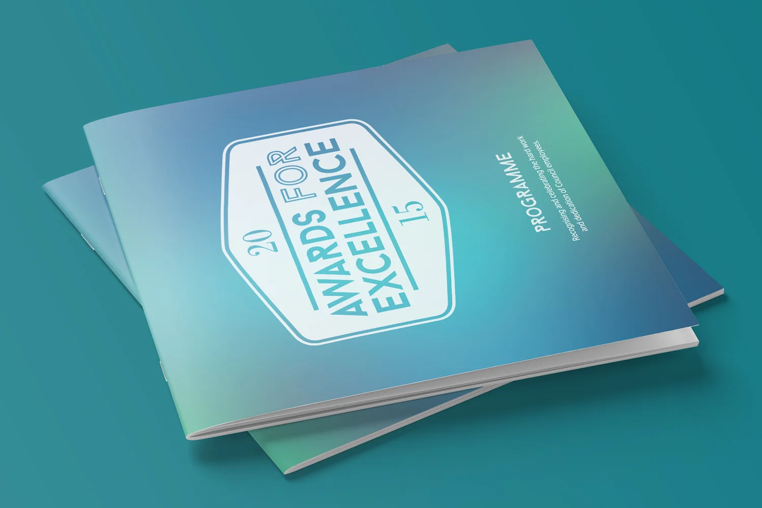 AFE2015_programme_cover_mockup.jpg